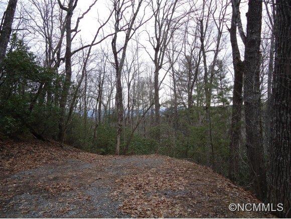 Lot 1 Spring Road, Unit LOT 1 Hendersonville, NC 28739 - Photo 9 of 12 a view of a forest with trees