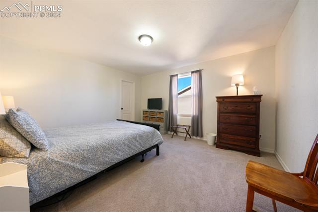 907 Spectrum Loop Colorado Springs, CO 80921 - Photo 28 of 44 View of carpeted bedroom