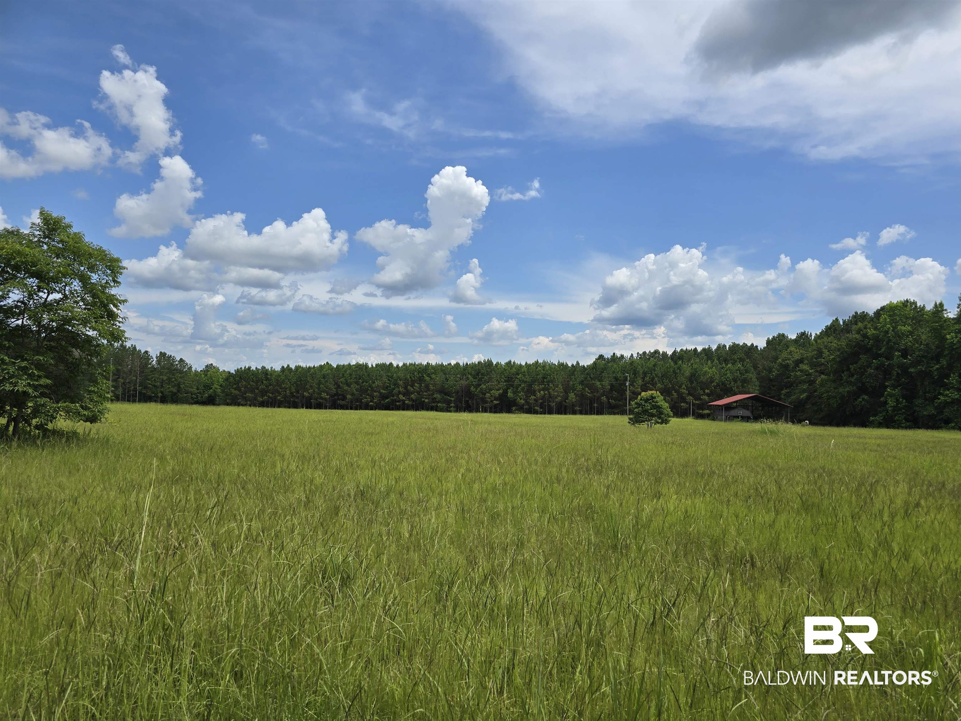 0 Langham Road Repton, AL 36475 - Photo 4 of 8