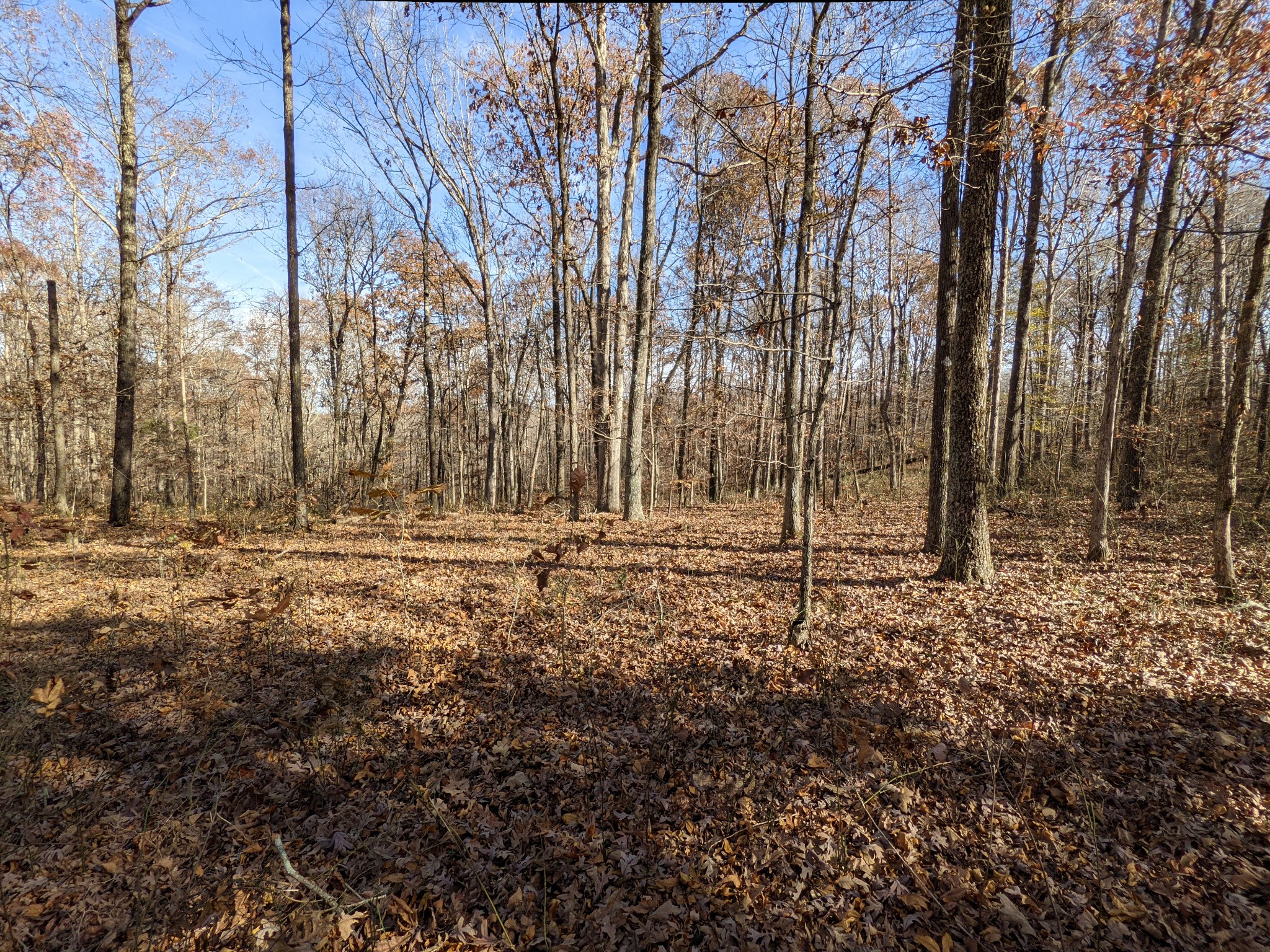 407 Half Pone Road Erin, TN 37061 - Photo 1 of 43 Gallery Image 1