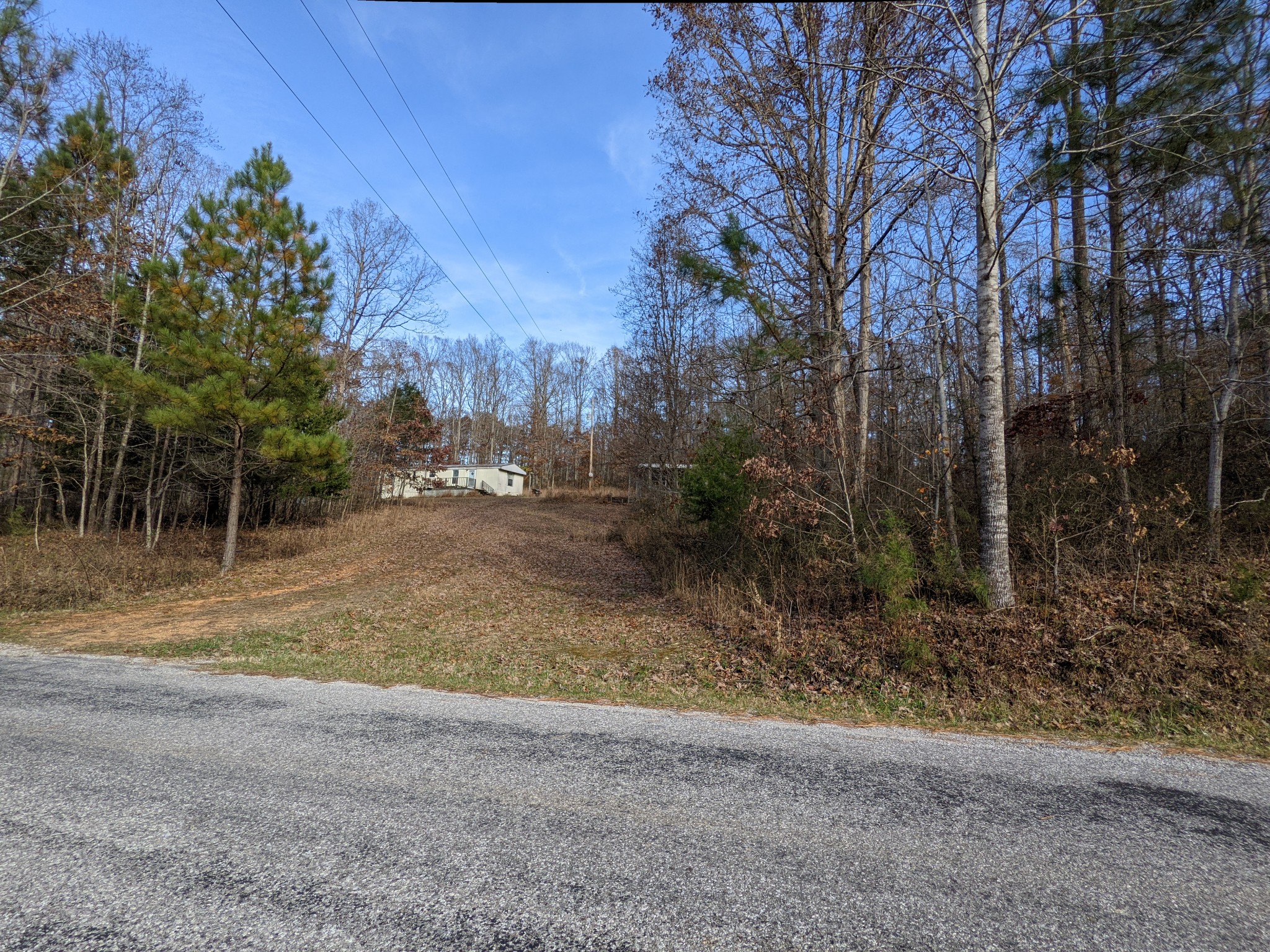 407 Half Pone Road Erin, TN 37061 - Photo 2 of 43 Gallery Image 2
