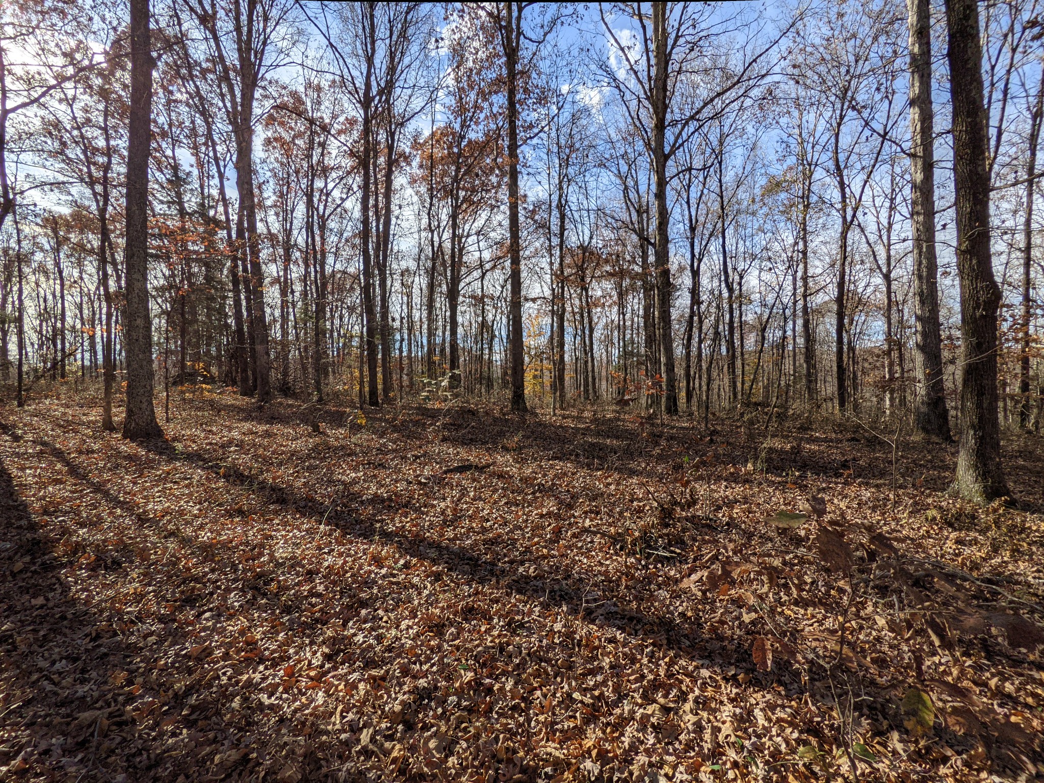 407 Half Pone Road Erin, TN 37061 - Photo 32 of 43 Gallery Image 32