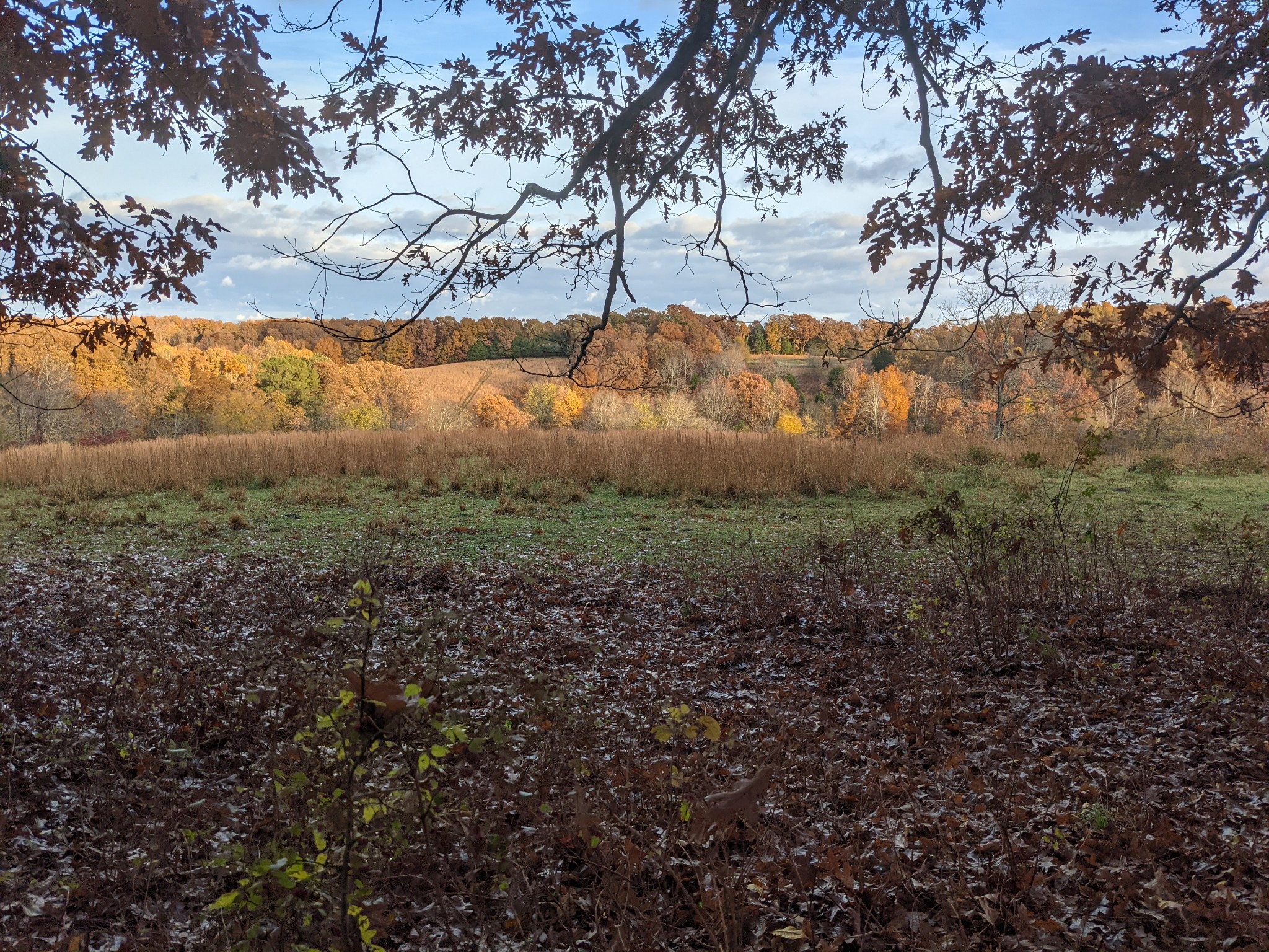 407 Half Pone Road Erin, TN 37061 - Photo 8 of 43 Gallery Image 8
