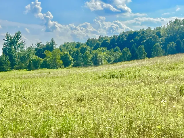 $159,000 | Dimmers Road, Reading, MI 49274