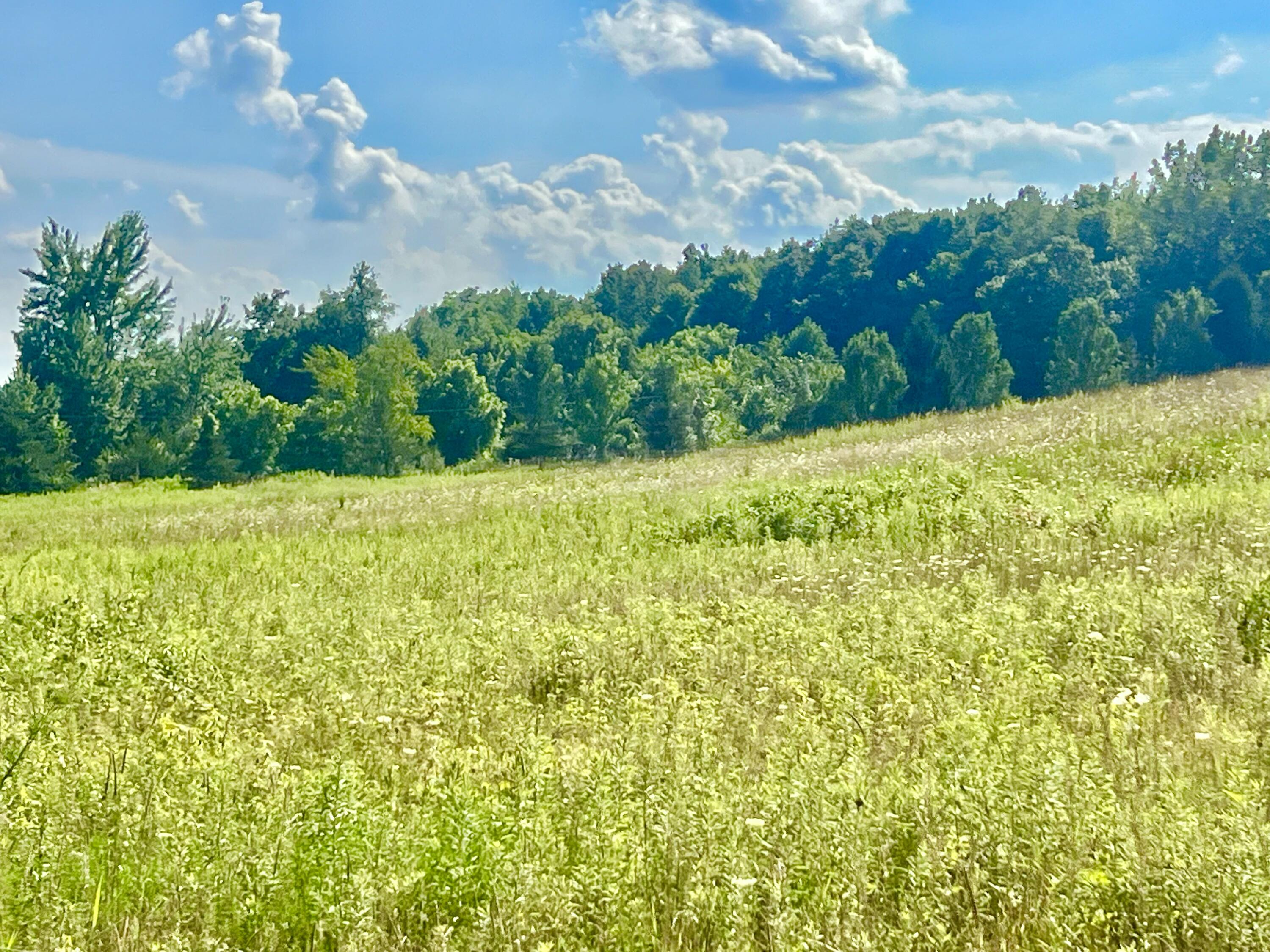 Dimmers Road Reading, MI 49274 - Photo 11 of 20 IMG_0487