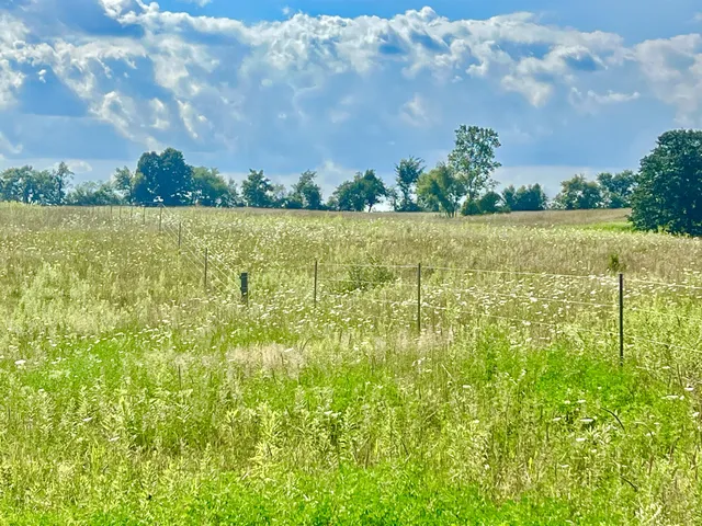 $159,000 | Dimmers Road, Reading, MI 49274