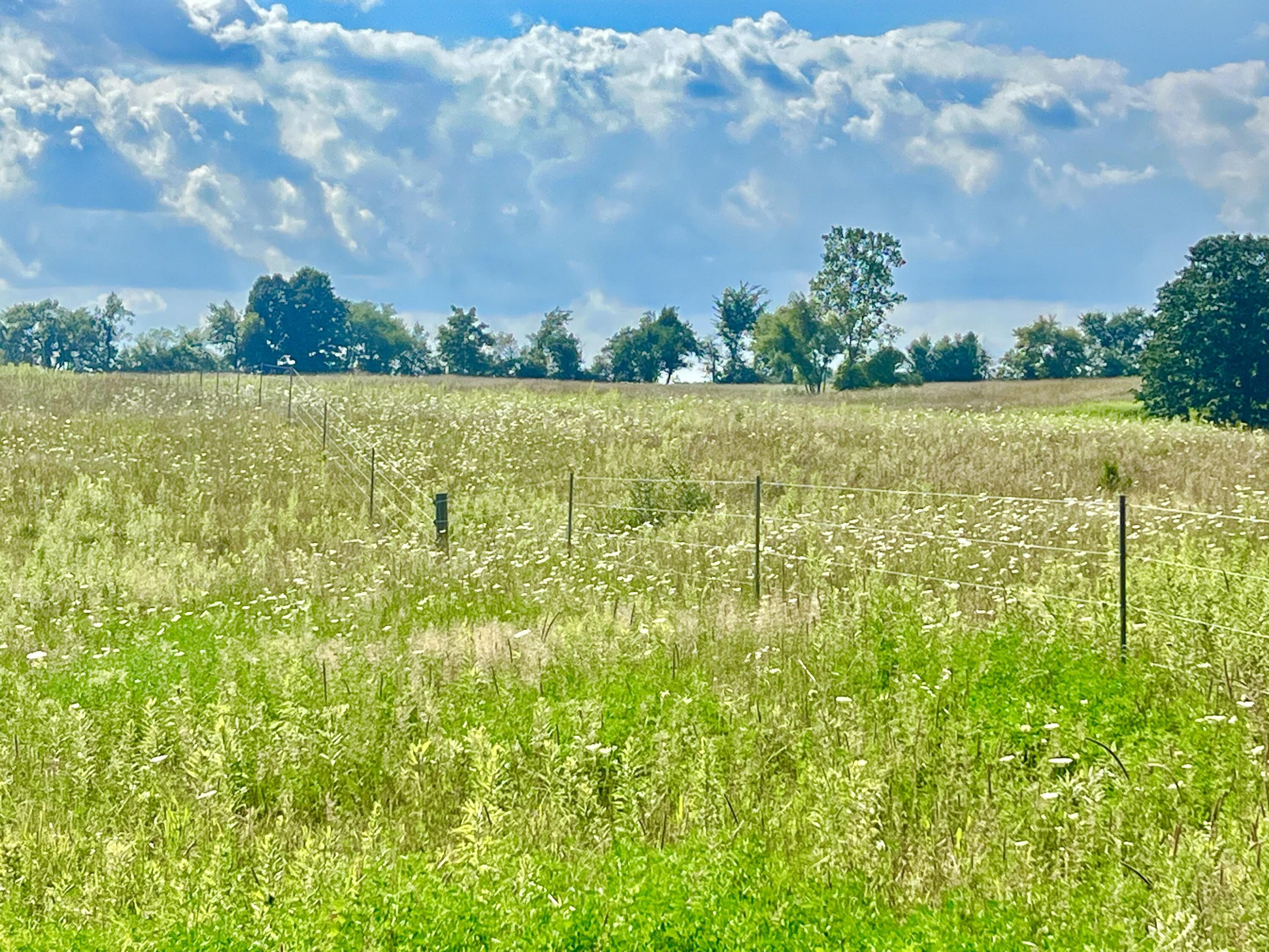 Dimmers Road Reading, MI 49274 - Photo 12 of 20 IMG_0486