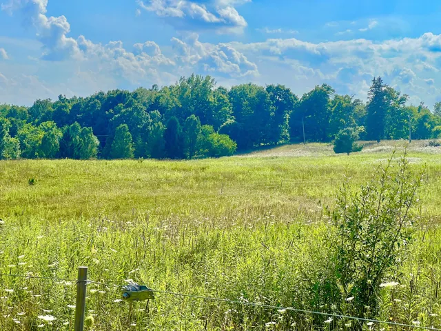 $159,000 | Dimmers Road, Reading, MI 49274