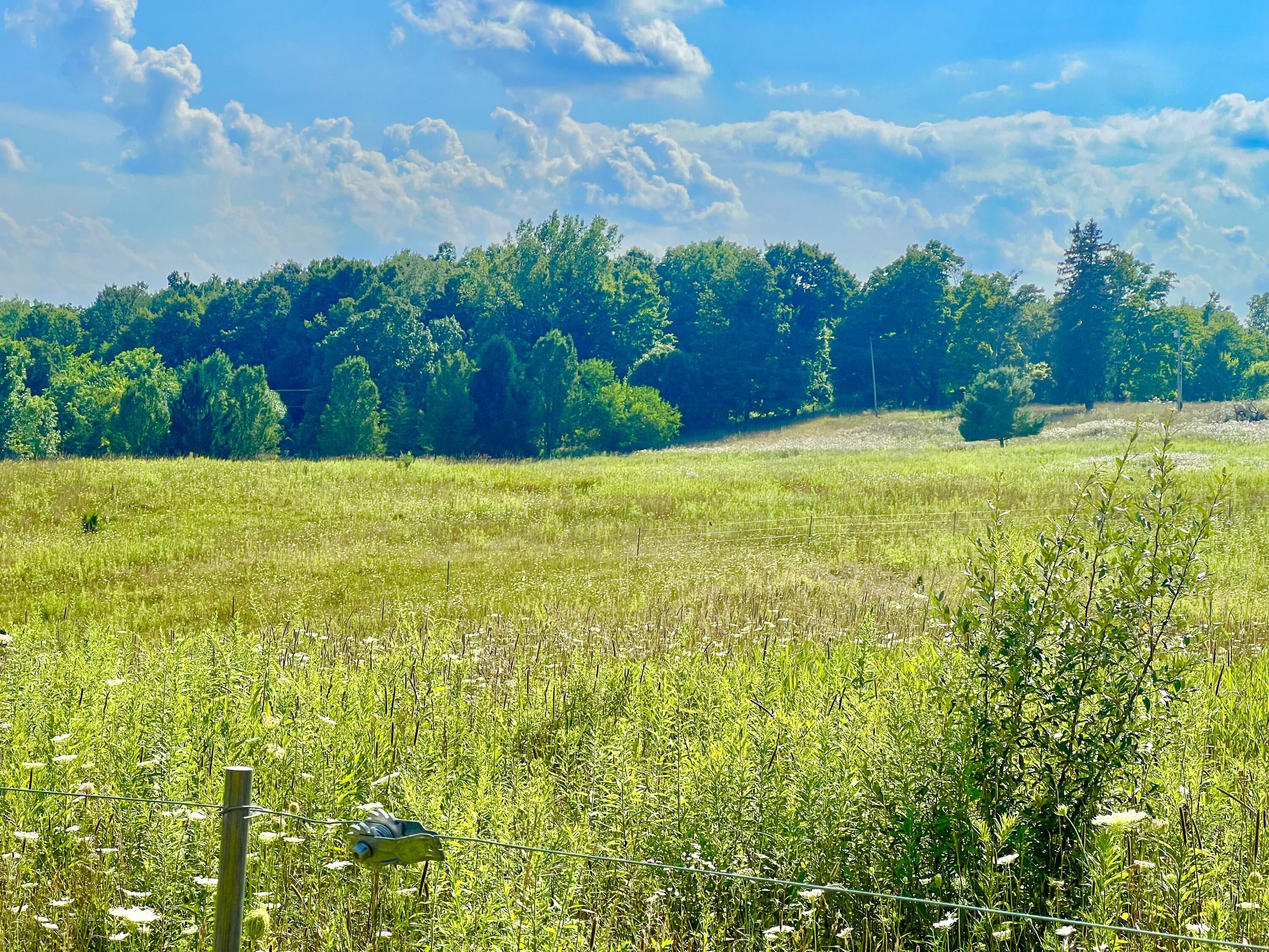 Dimmers Road Reading, MI 49274 - Photo 13 of 20 IMG_0484