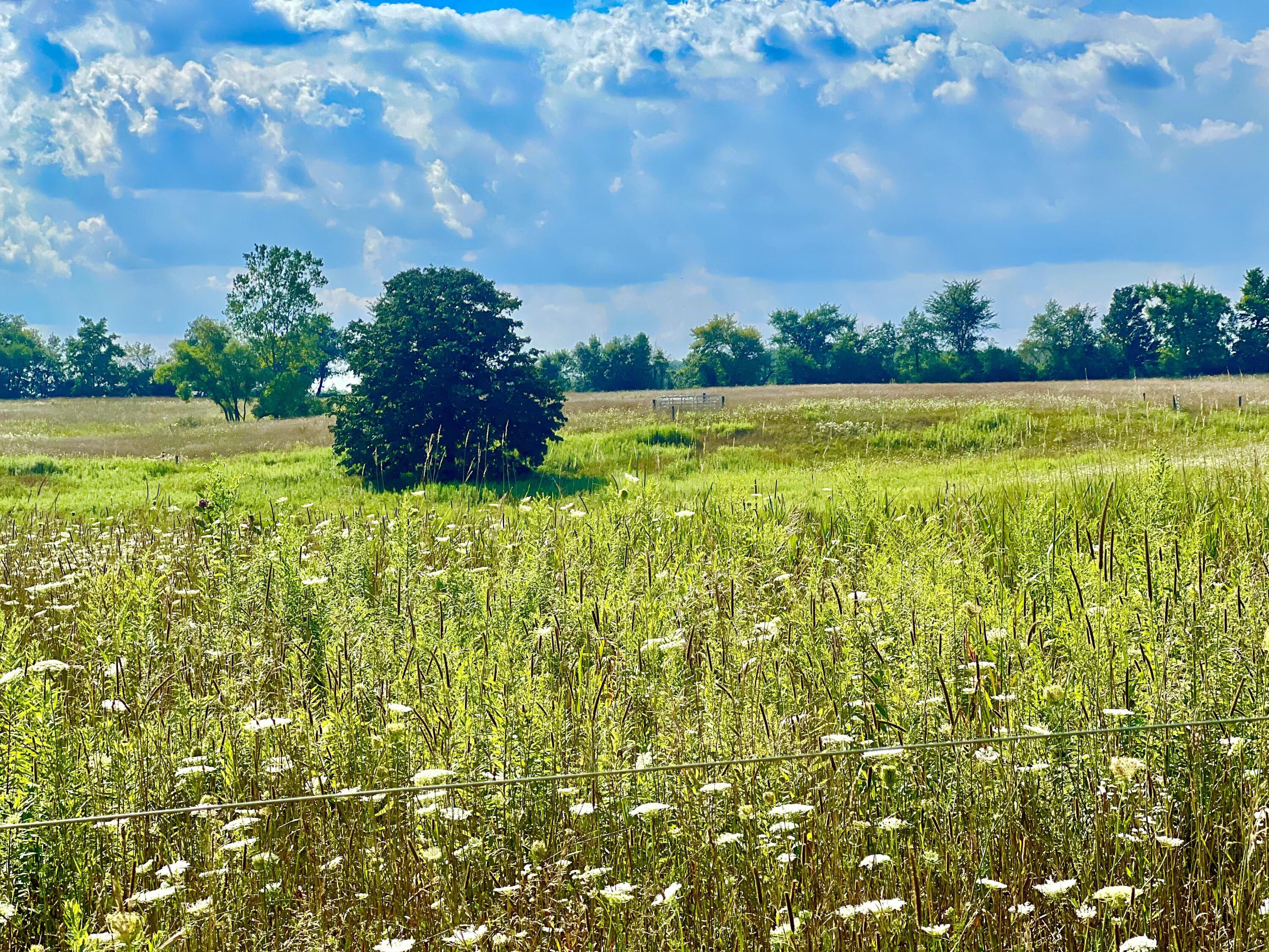 Dimmers Road Reading, MI 49274 - Photo 14 of 20 IMG_0483