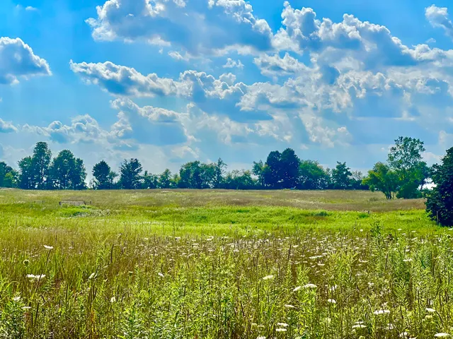 $159,000 | Dimmers Road, Reading, MI 49274