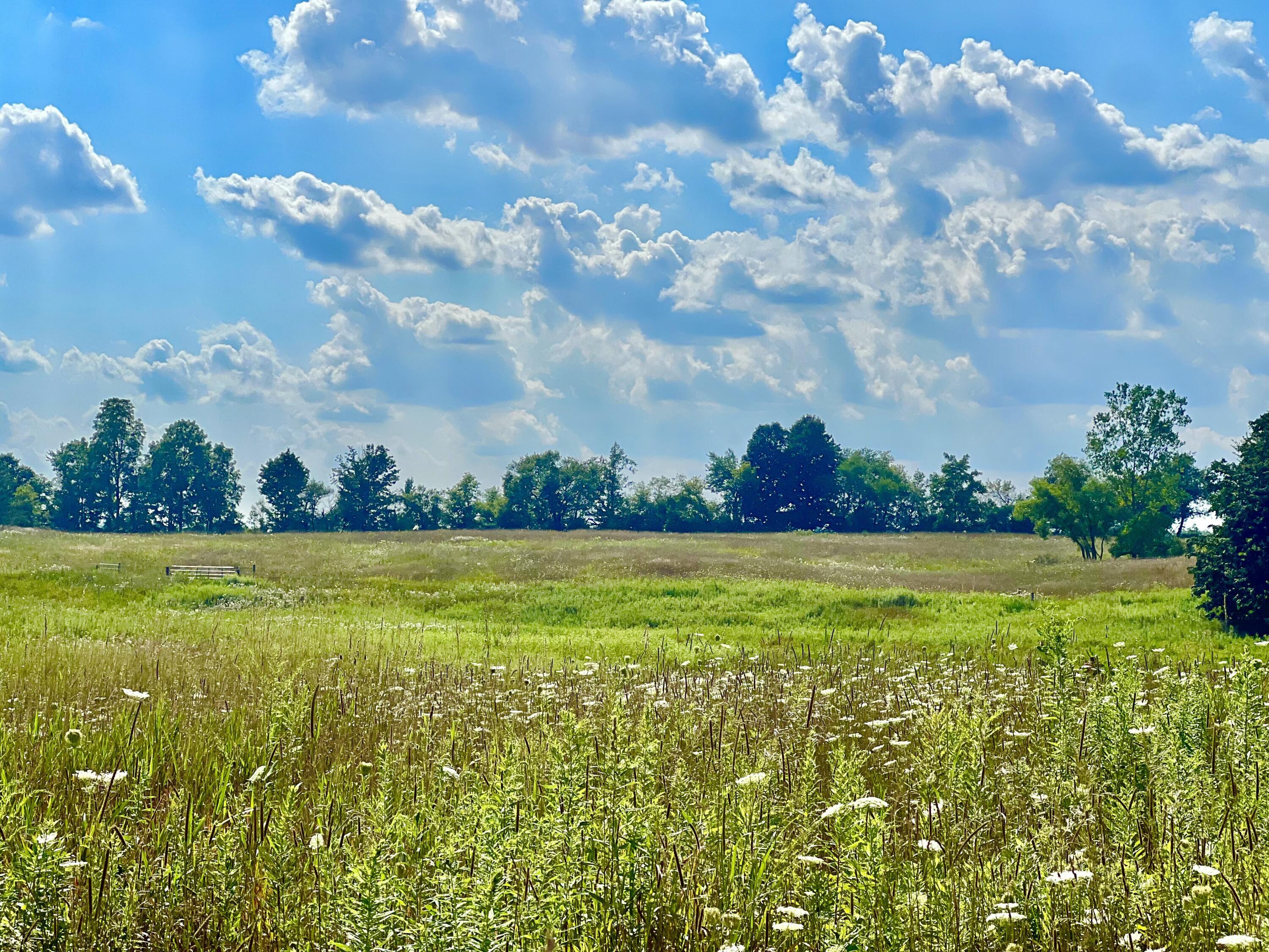 Dimmers Road Reading, MI 49274 - Photo 15 of 20 IMG_0482