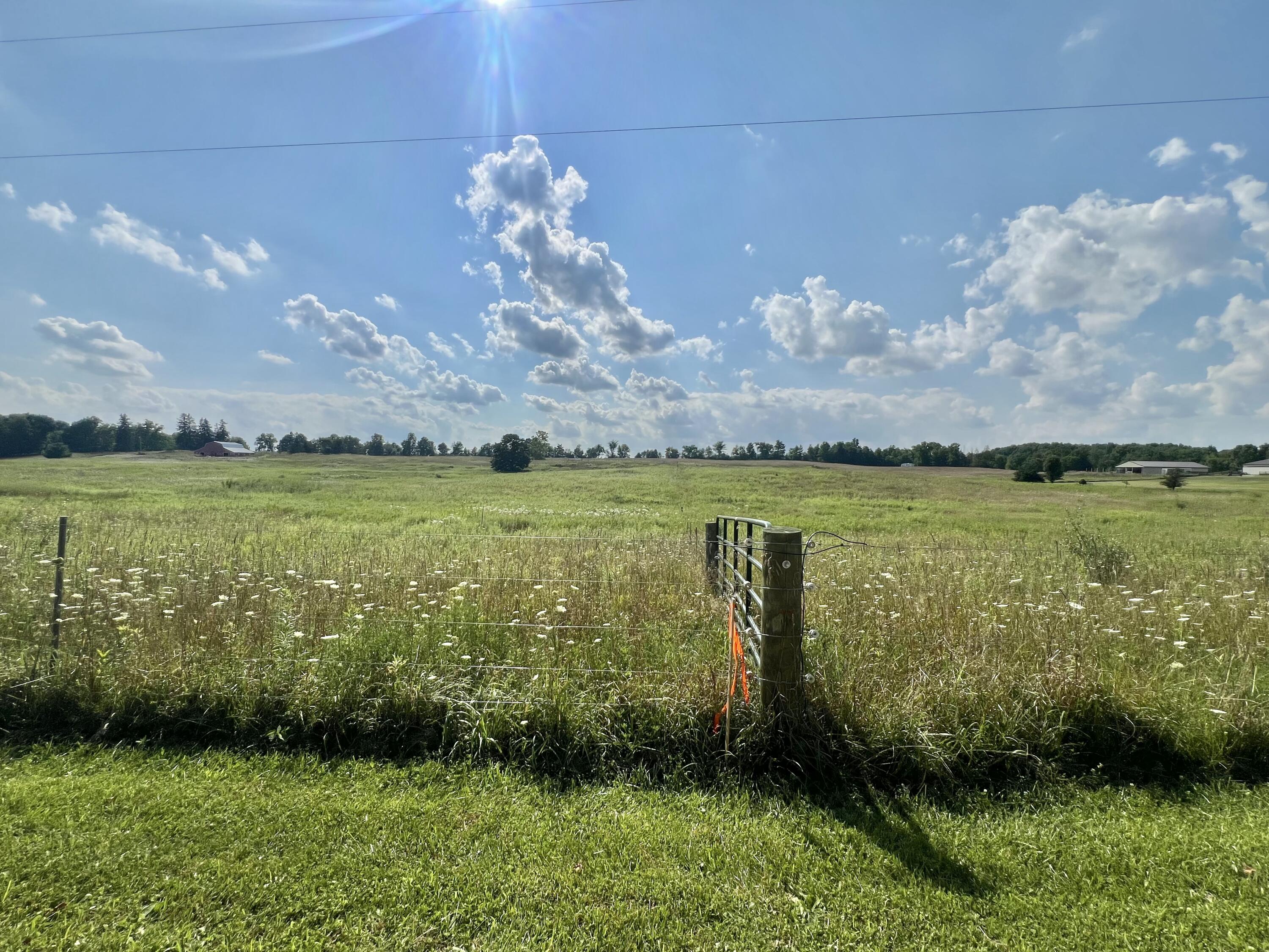 Dimmers Road Reading, MI 49274 - Photo 17 of 20 IMG_0478