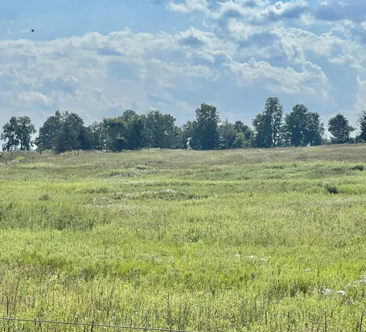 $159,000 | Dimmers Road, Reading, MI 49274