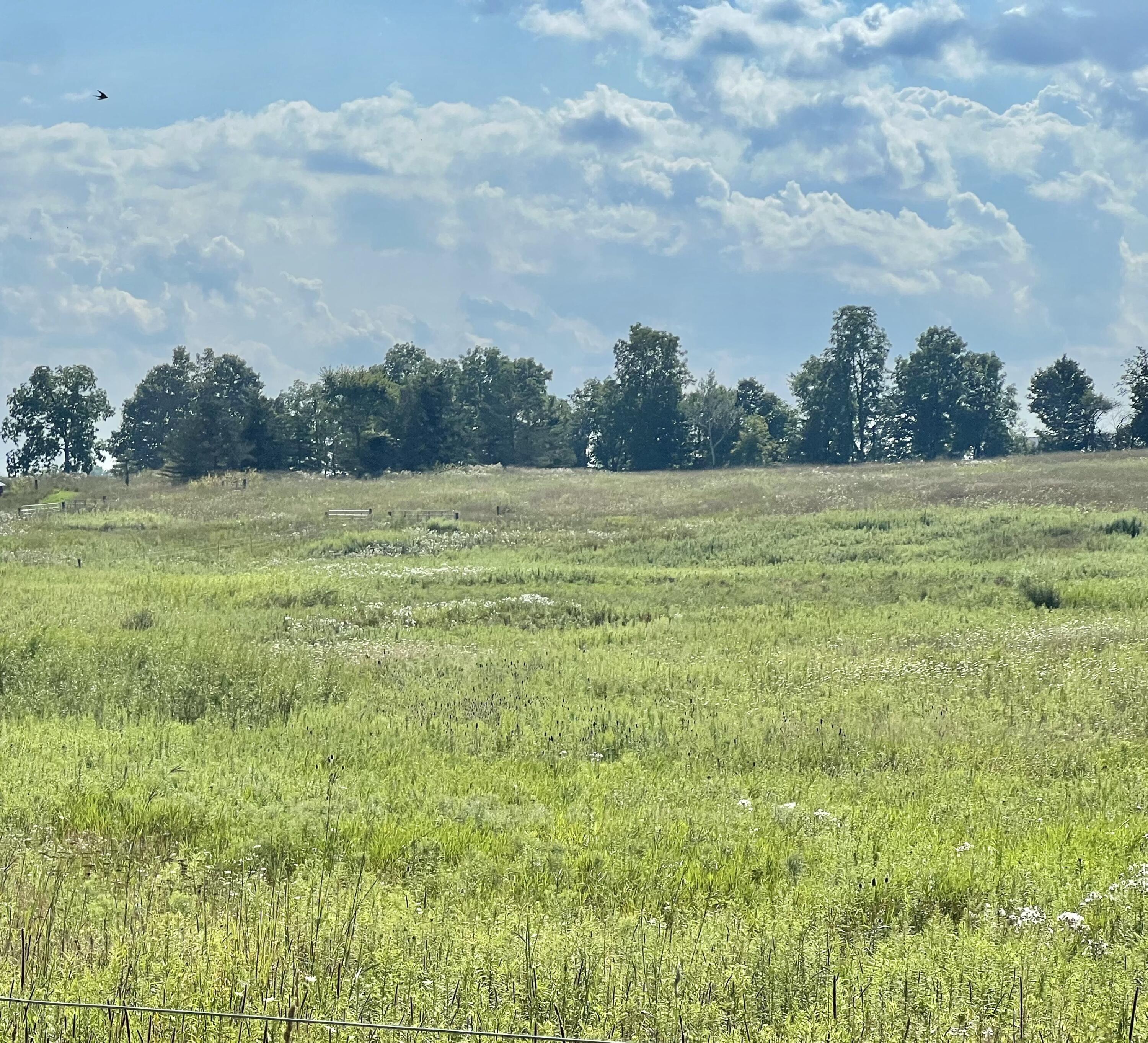 Dimmers Road Reading, MI 49274 - Photo 18 of 20 IMG_0480