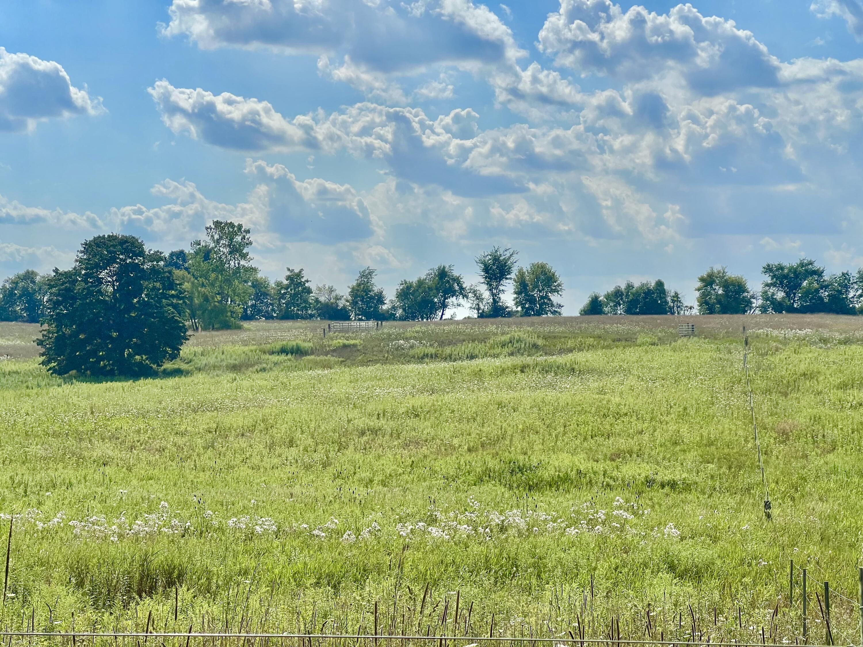 Dimmers Road Reading, MI 49274 - Photo 19 of 20 IMG_0477