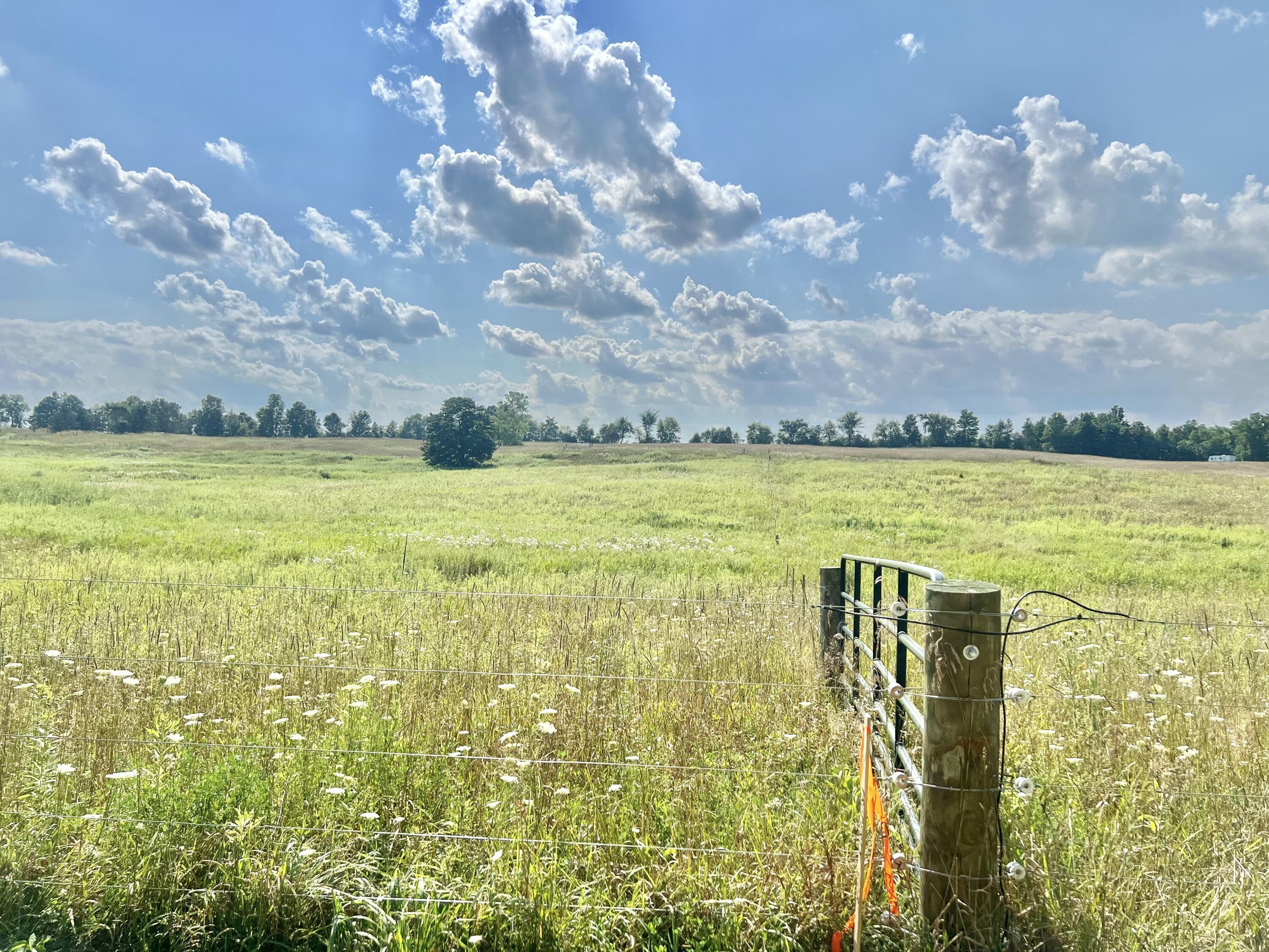 Dimmers Road Reading, MI 49274 - Photo 20 of 20 IMG_0476