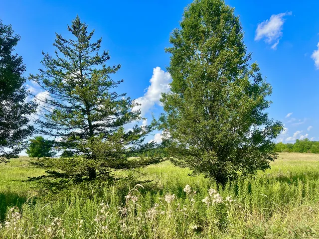 $159,000 | Dimmers Road, Reading, MI 49274