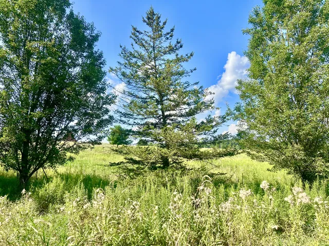 $159,000 | Dimmers Road, Reading, MI 49274