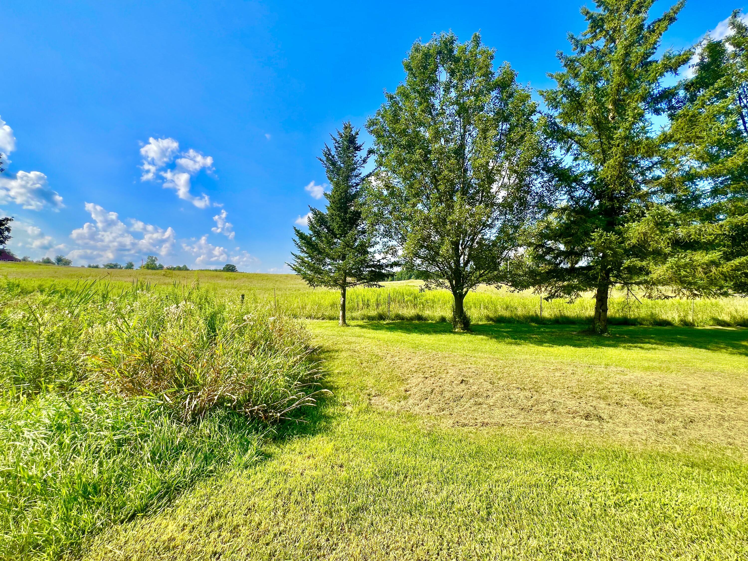 Dimmers Road Reading, MI 49274 - Photo 4 of 20 IMG_0497