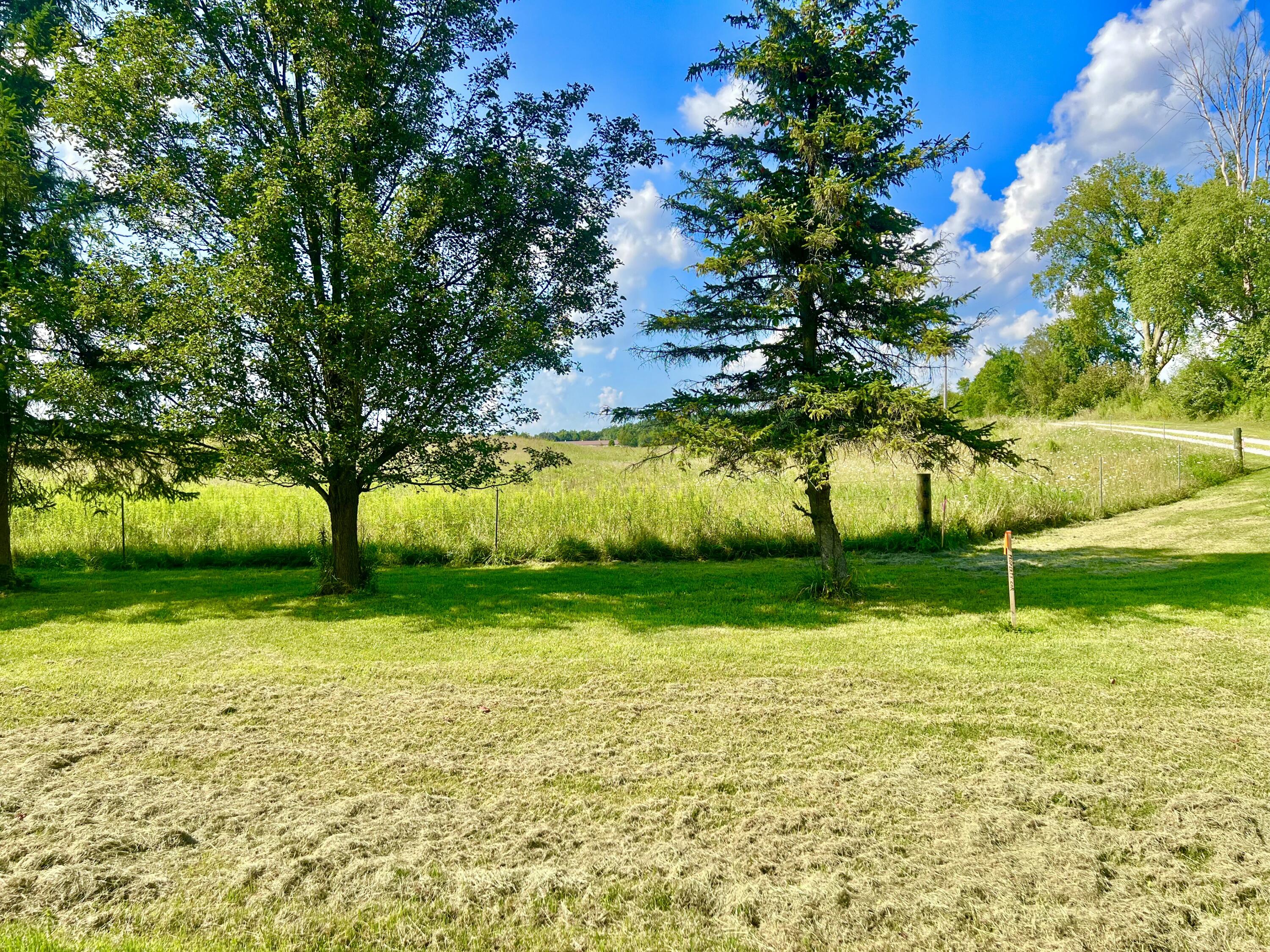 Dimmers Road Reading, MI 49274 - Photo 6 of 20 IMG_0494