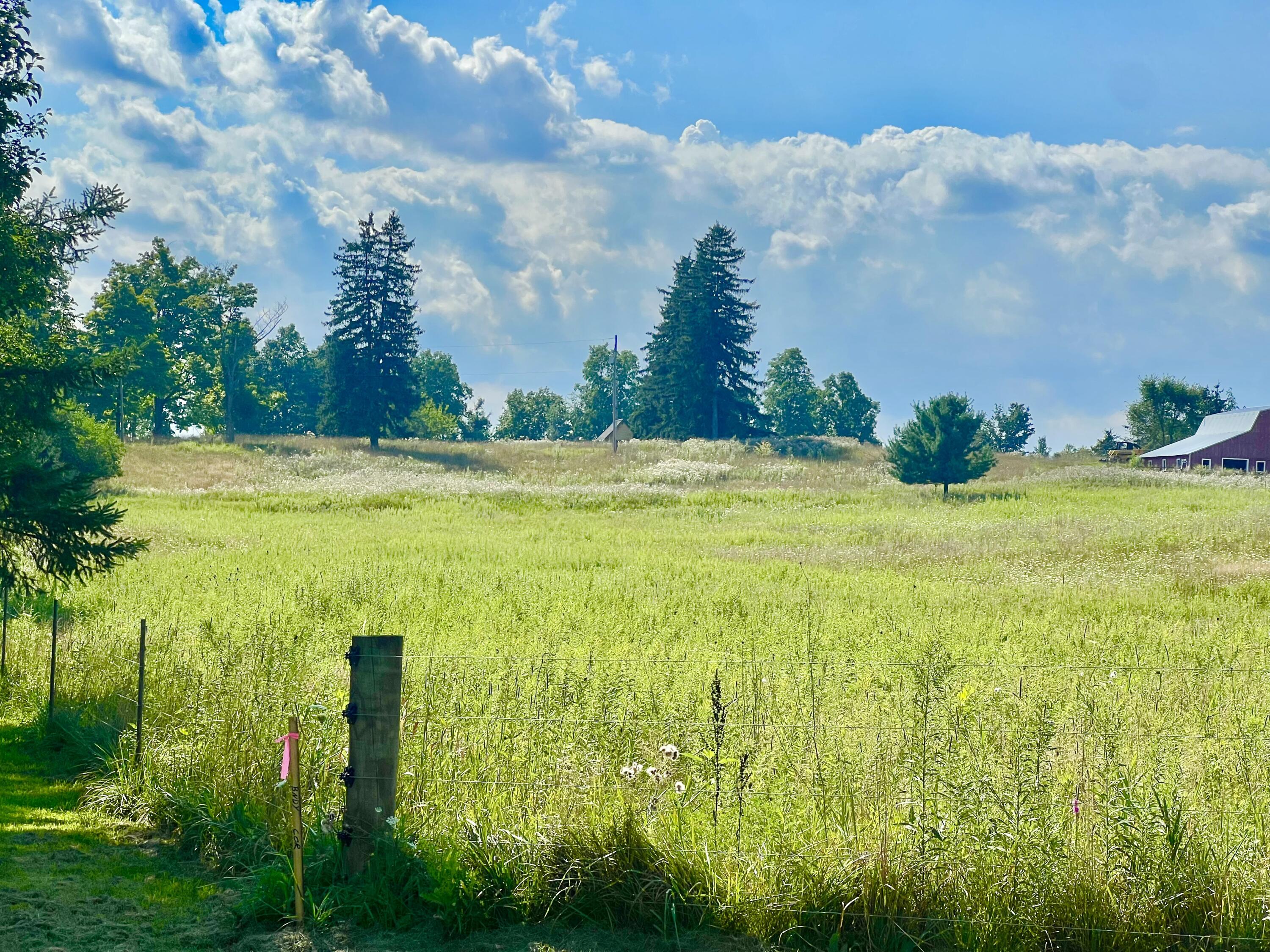 Dimmers Road Reading, MI 49274 - Photo 8 of 20 IMG_0491