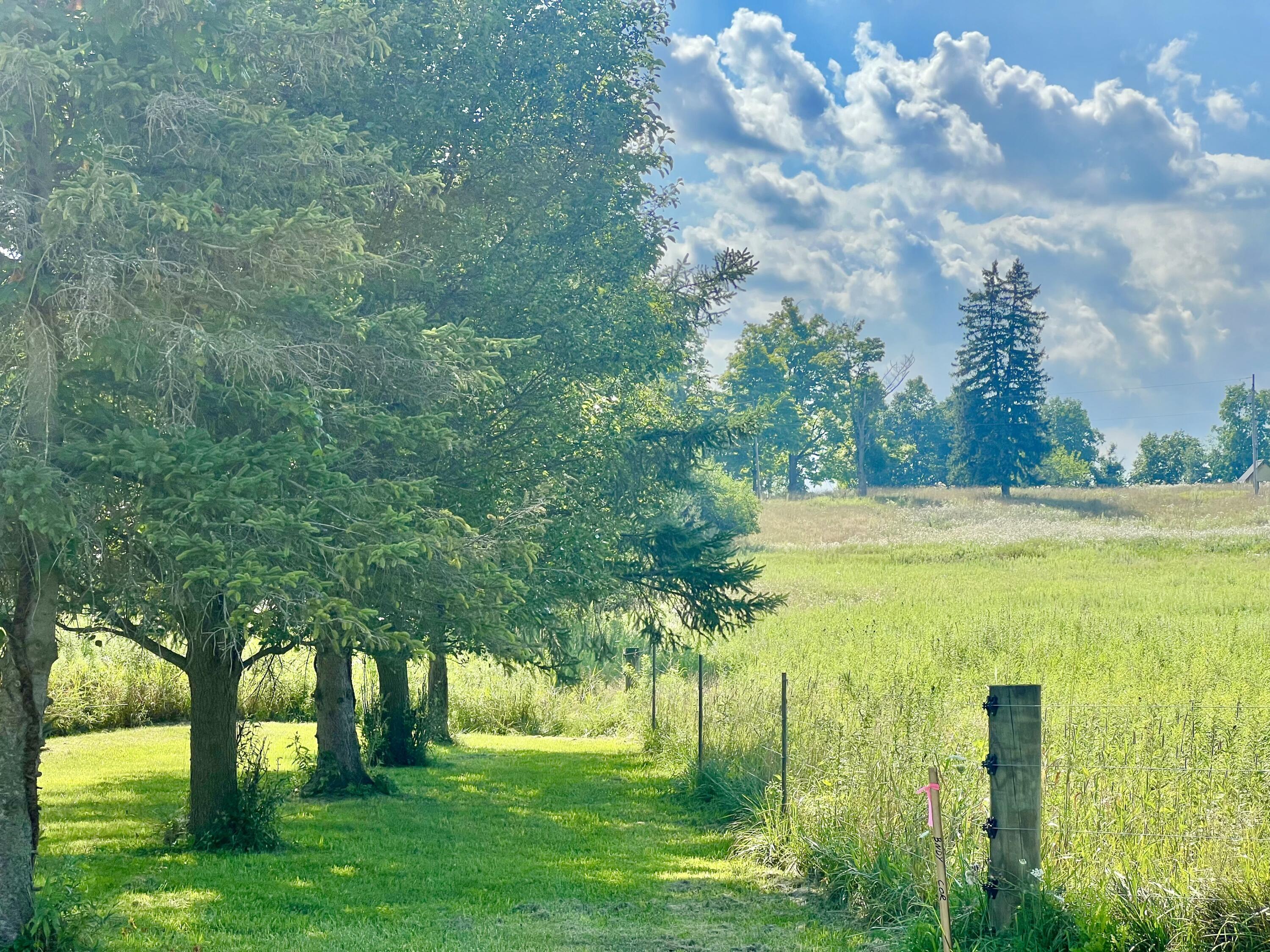 Dimmers Road Reading, MI 49274 - Photo 9 of 20 IMG_0489