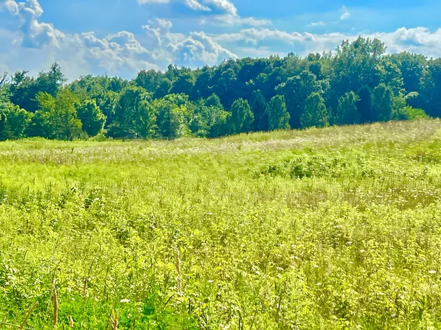 $159,000 | Dimmers Road, Reading, MI 49274