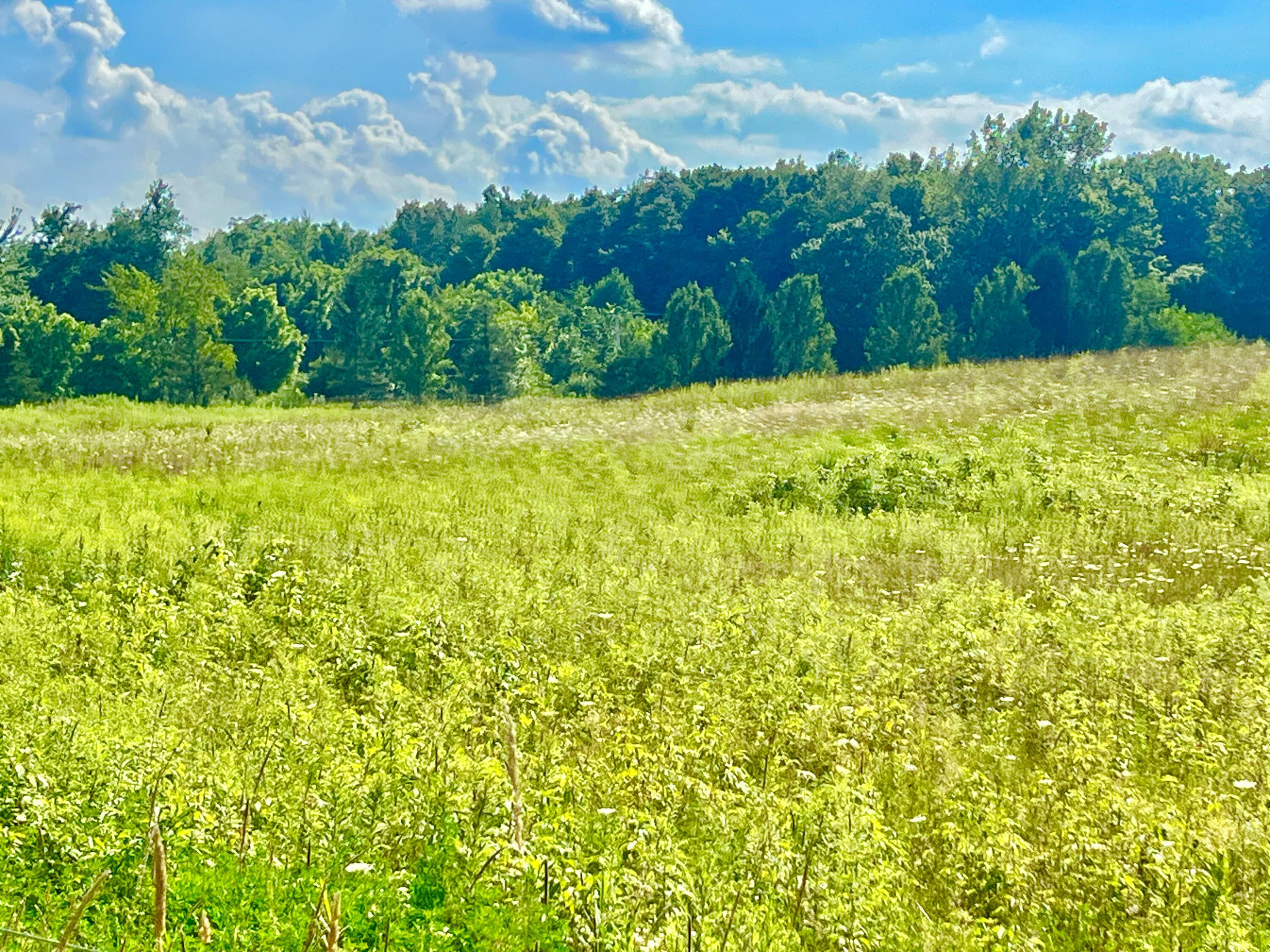 Dimmers Road Reading, MI 49274 - Photo 10 of 20 IMG_0488