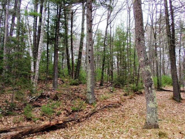 1630 Cranberry Lake Road Eagle River, WI 54521 - Photo 14 of 18 Gallery Image 14