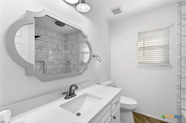 a bathroom with a sink a toilet and mirror