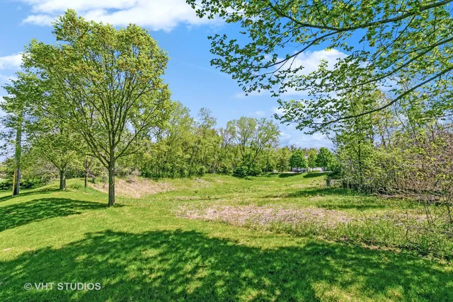 a view of a park with a tree