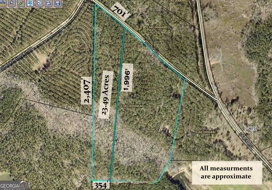 0 White Road Pine Mountain, GA 31822 - Photo 9 of 9