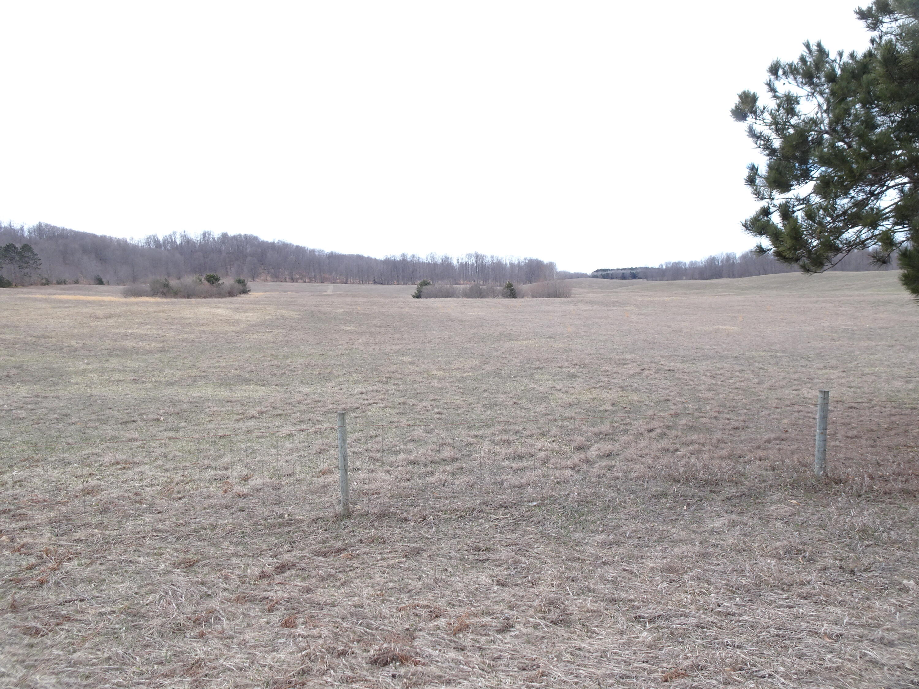 Chief ''i'' Road Bear Lake, MI 49614 - Photo 1 of 10 I