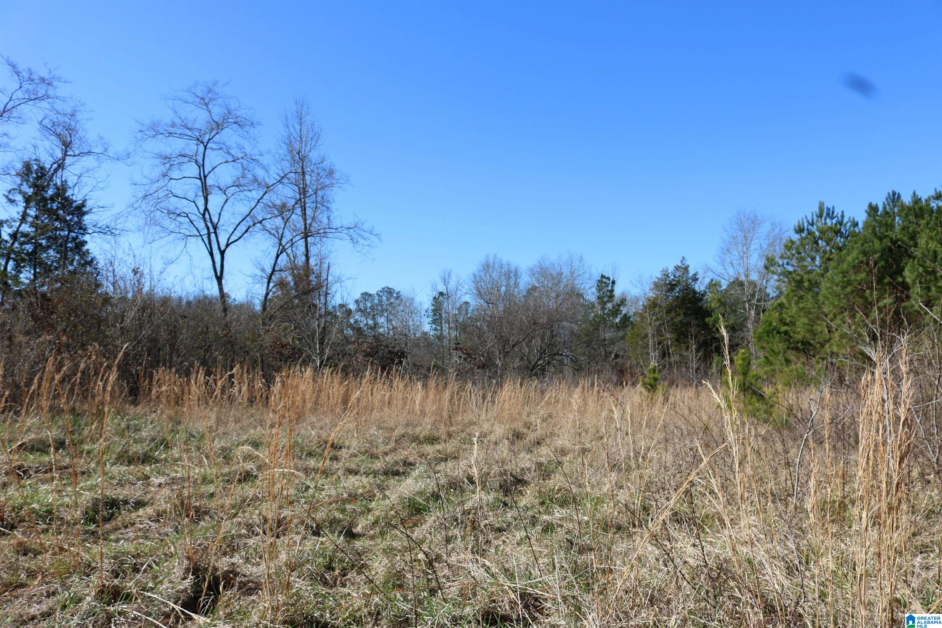 400 3 Cedars Road Ohatchee, AL 36271 - Photo 31 of 44
