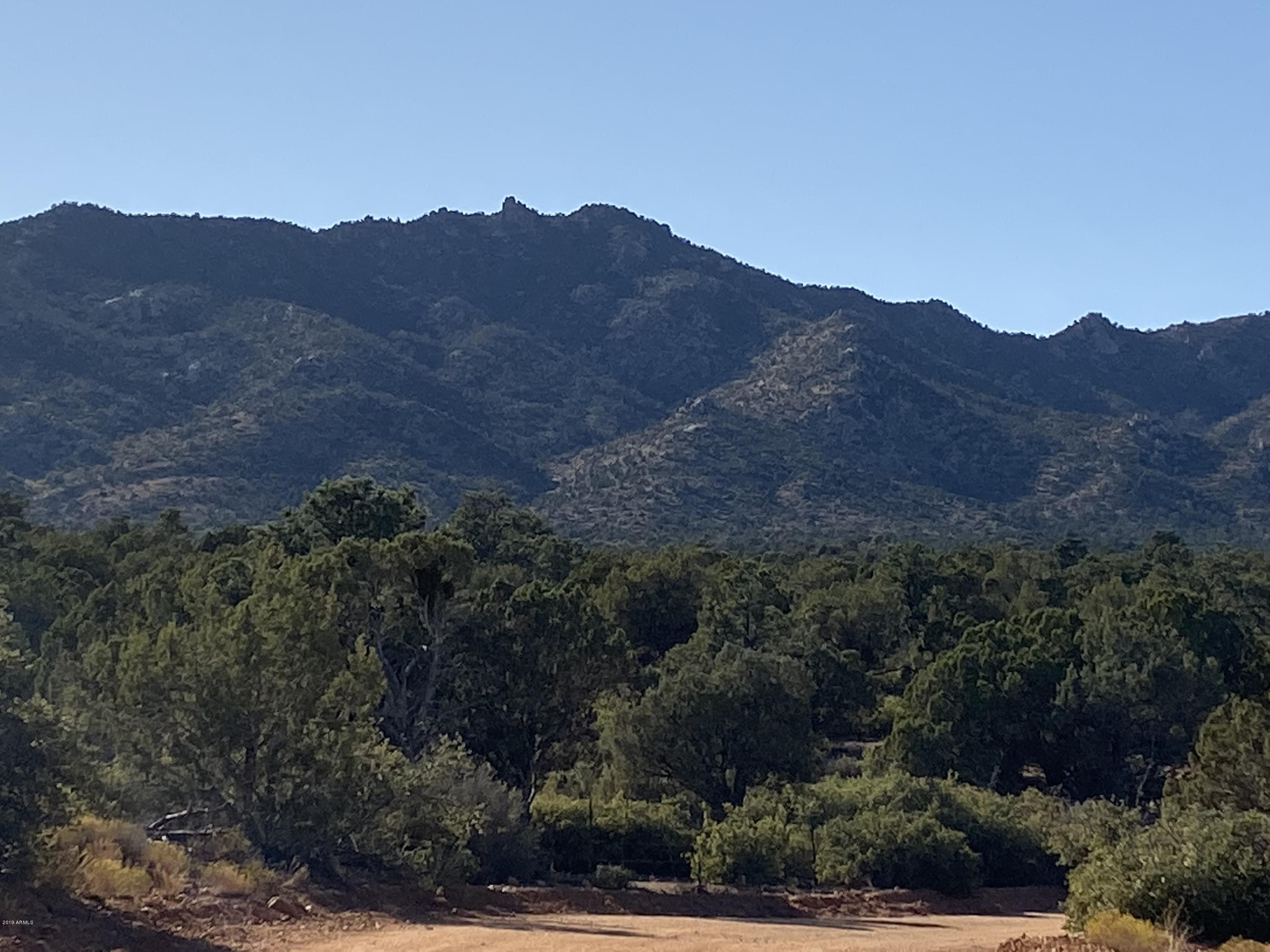 Lot 124 Mountain Spring Road, Unit 124 Hackberry, AZ 86411 - Photo 6 of 13 Mtn Views 01