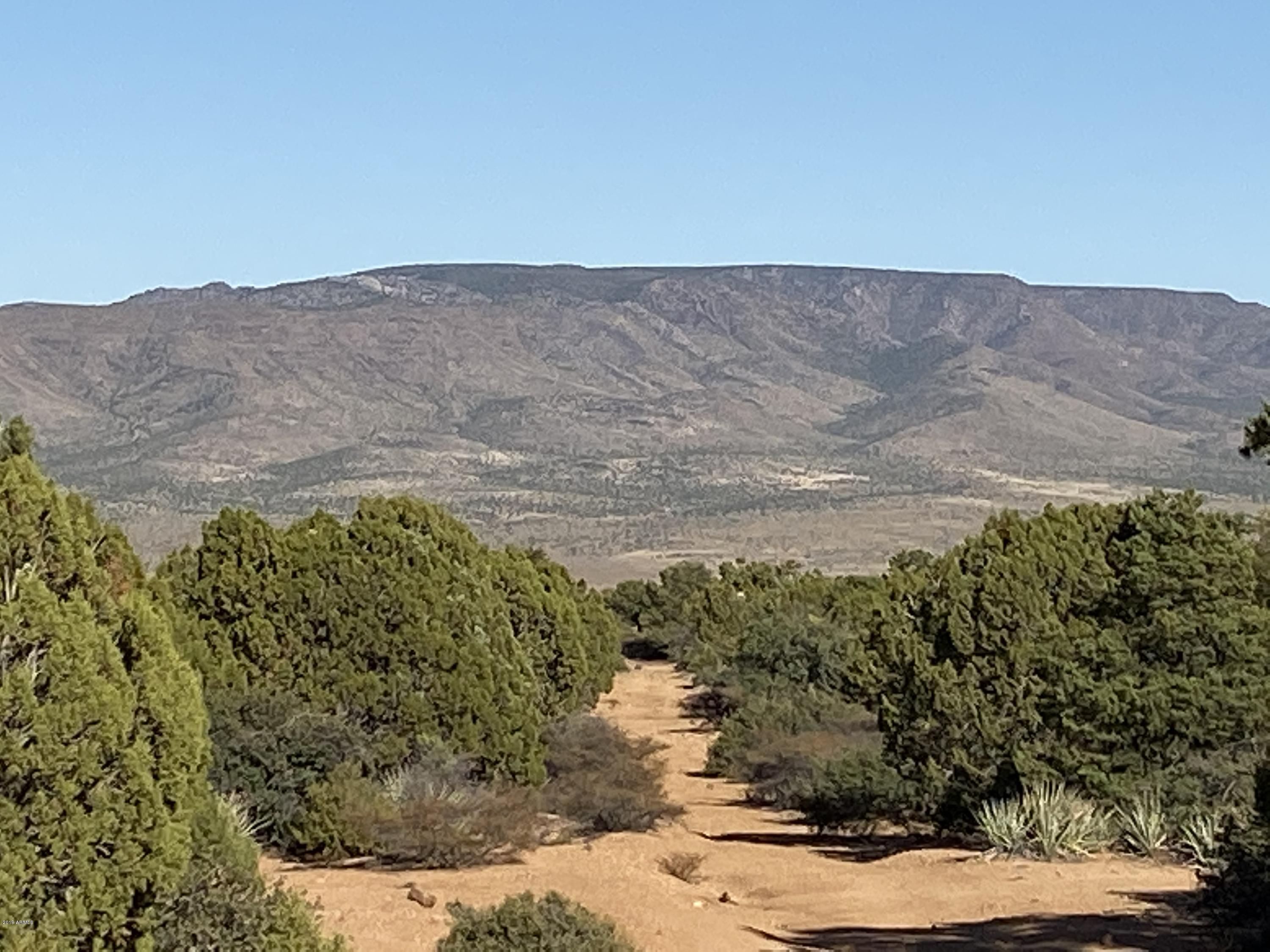 Lot 124 Mountain Spring Road, Unit 124 Hackberry, AZ 86411 - Photo 8 of 13 Mtn Views Looking East with Cut in Road