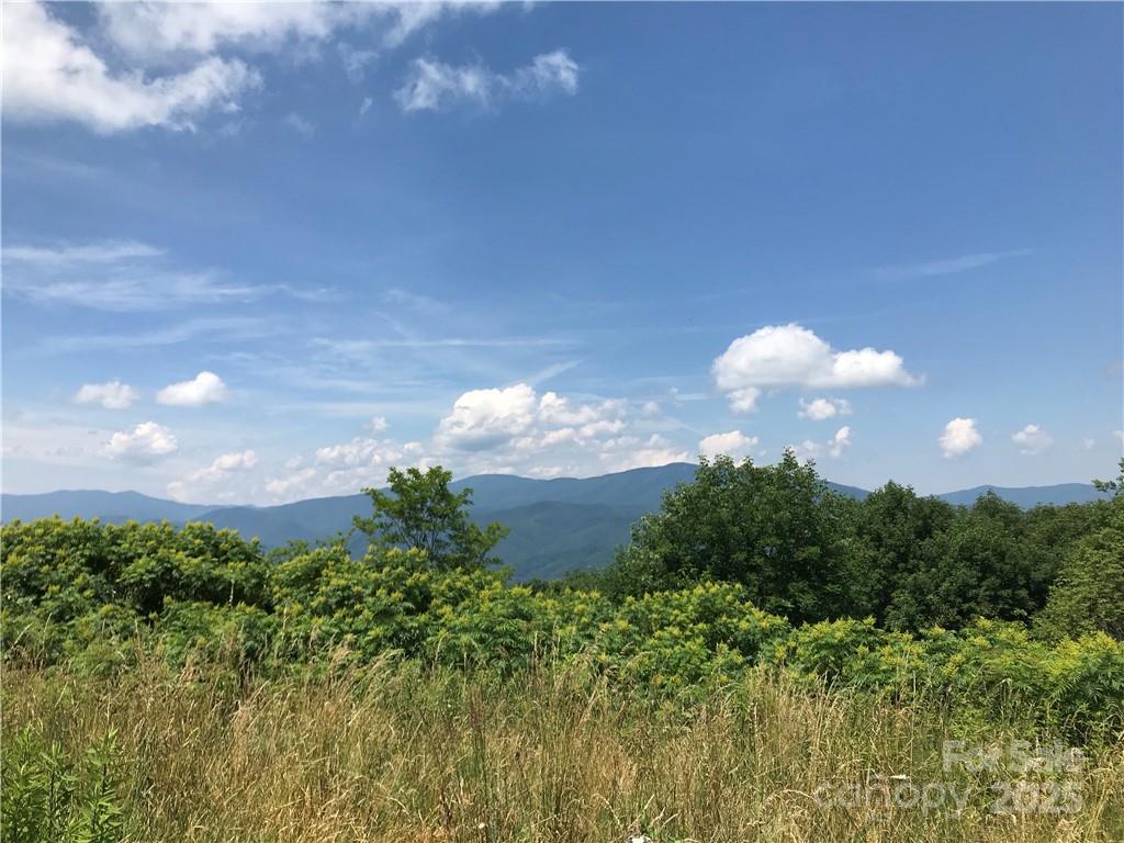 Lot #39 Ridge Top Circle Clyde, NC 28721 - Photo 11 of 35 a view of a flower in a garden