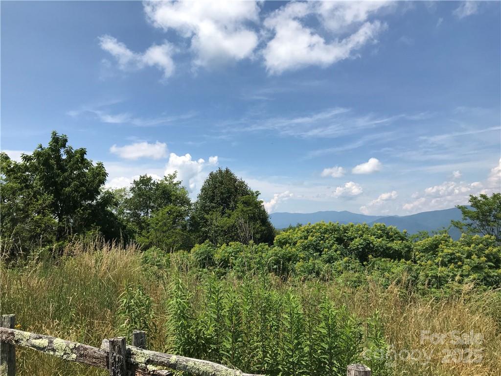 Lot #39 Ridge Top Circle Clyde, NC 28721 - Photo 12 of 35 a view of a bunch of trees