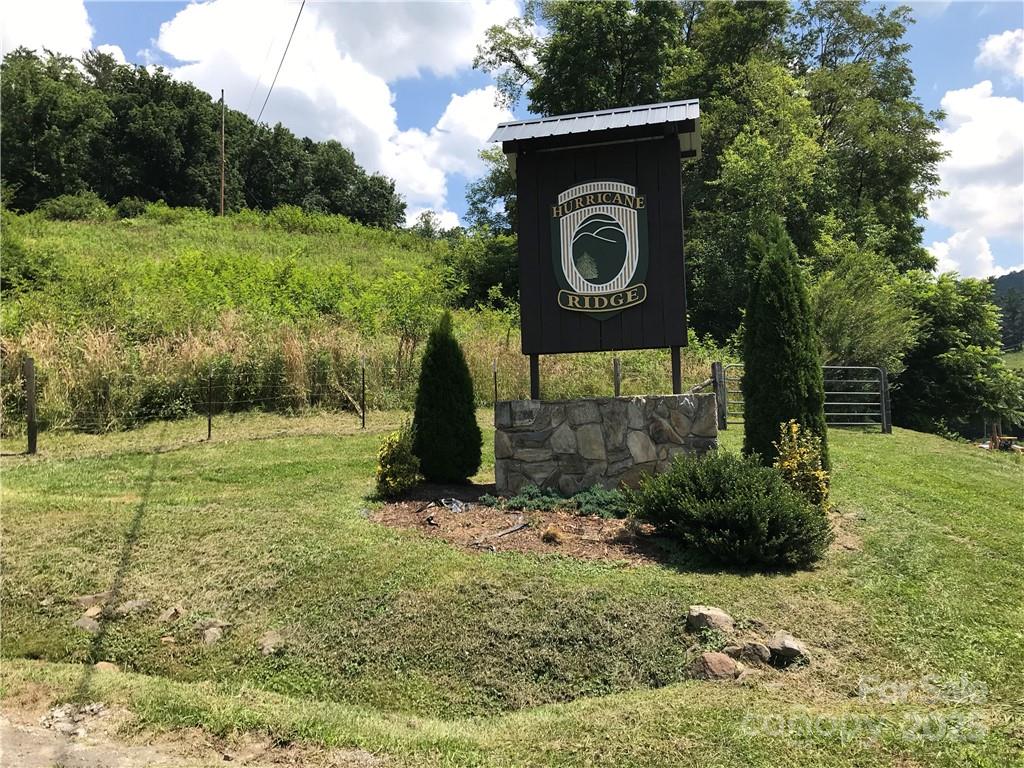Lot #39 Ridge Top Circle Clyde, NC 28721 - Photo 14 of 35 a view of a back yard of the house and green space