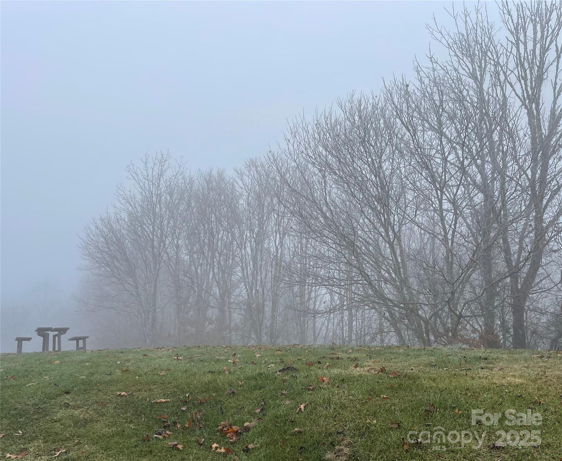 Lot #39 Ridge Top Circle Clyde, NC 28721 - Photo 15 of 35 a view of a backyard