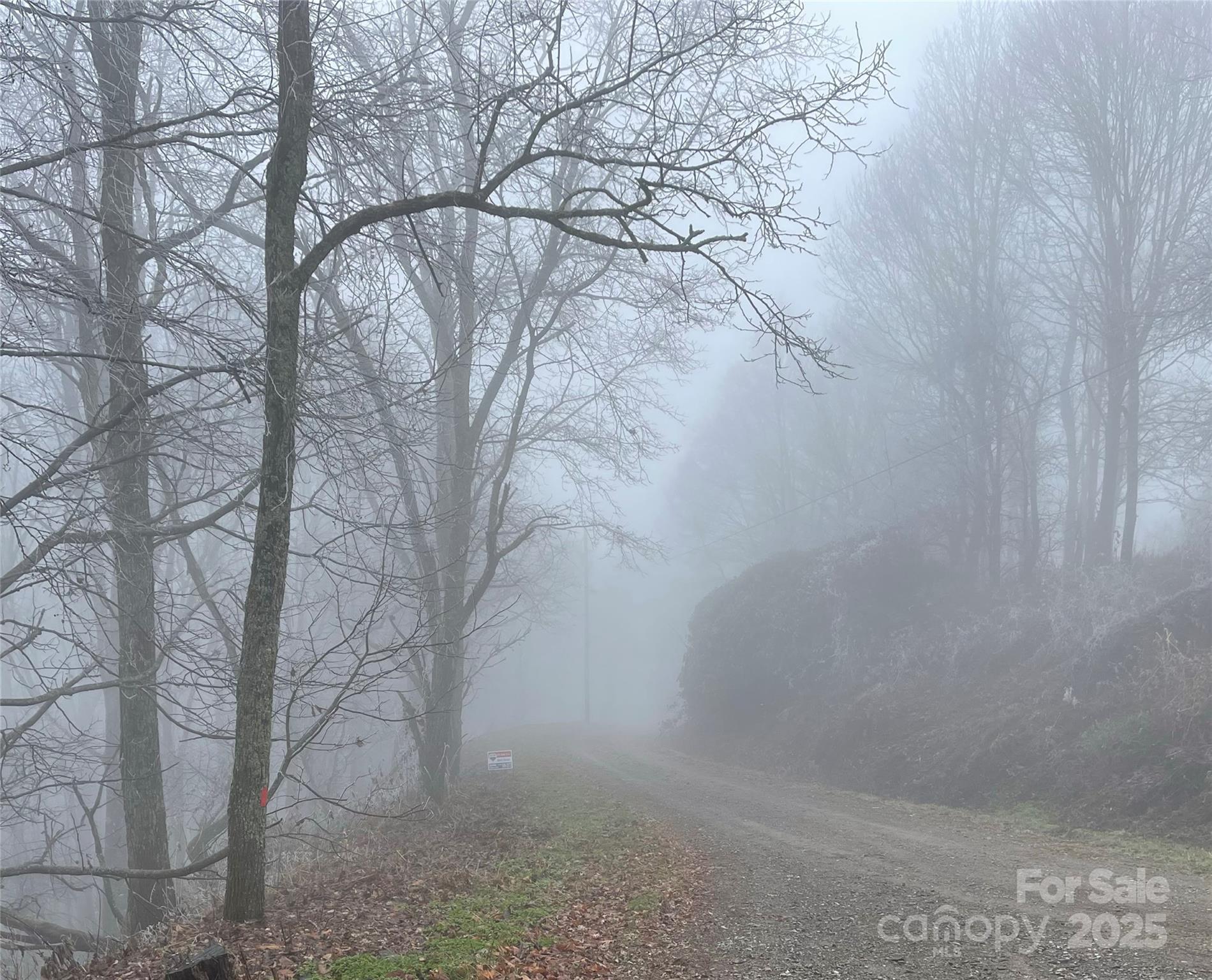 Lot #39 Ridge Top Circle Clyde, NC 28721 - Photo 18 of 35 a backyard of a house