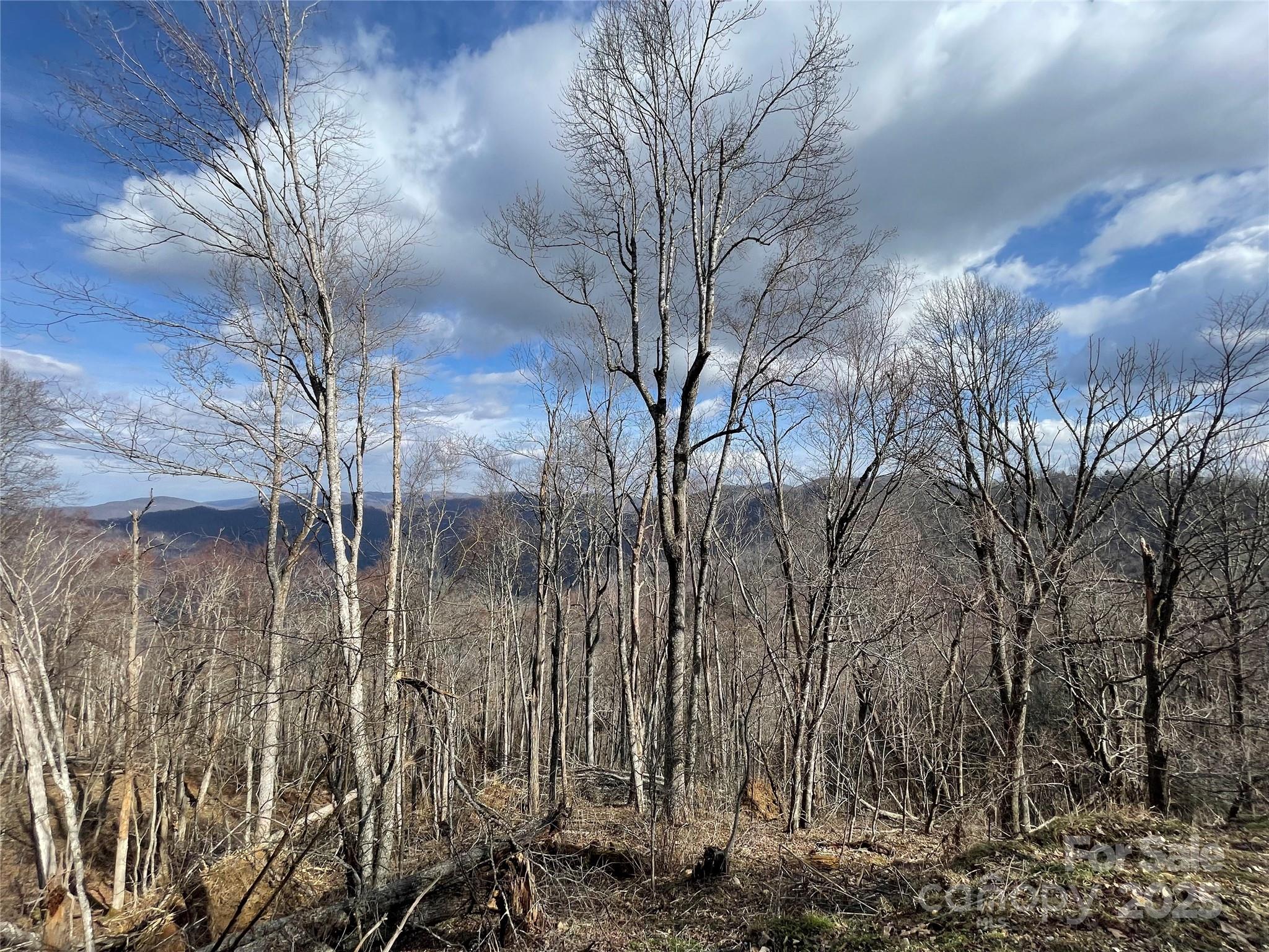 Lot #39 Ridge Top Circle Clyde, NC 28721 - Photo 2 of 35 a view of a forest