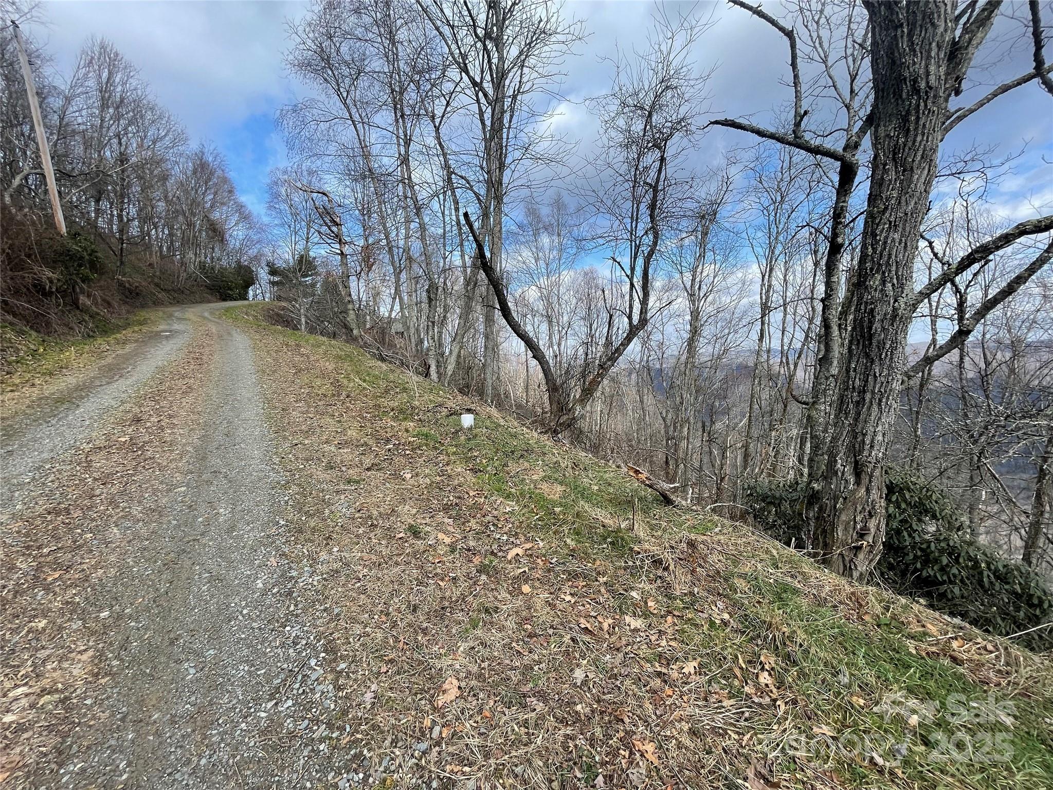 Lot #39 Ridge Top Circle Clyde, NC 28721 - Photo 22 of 35 a view of a yard with trees