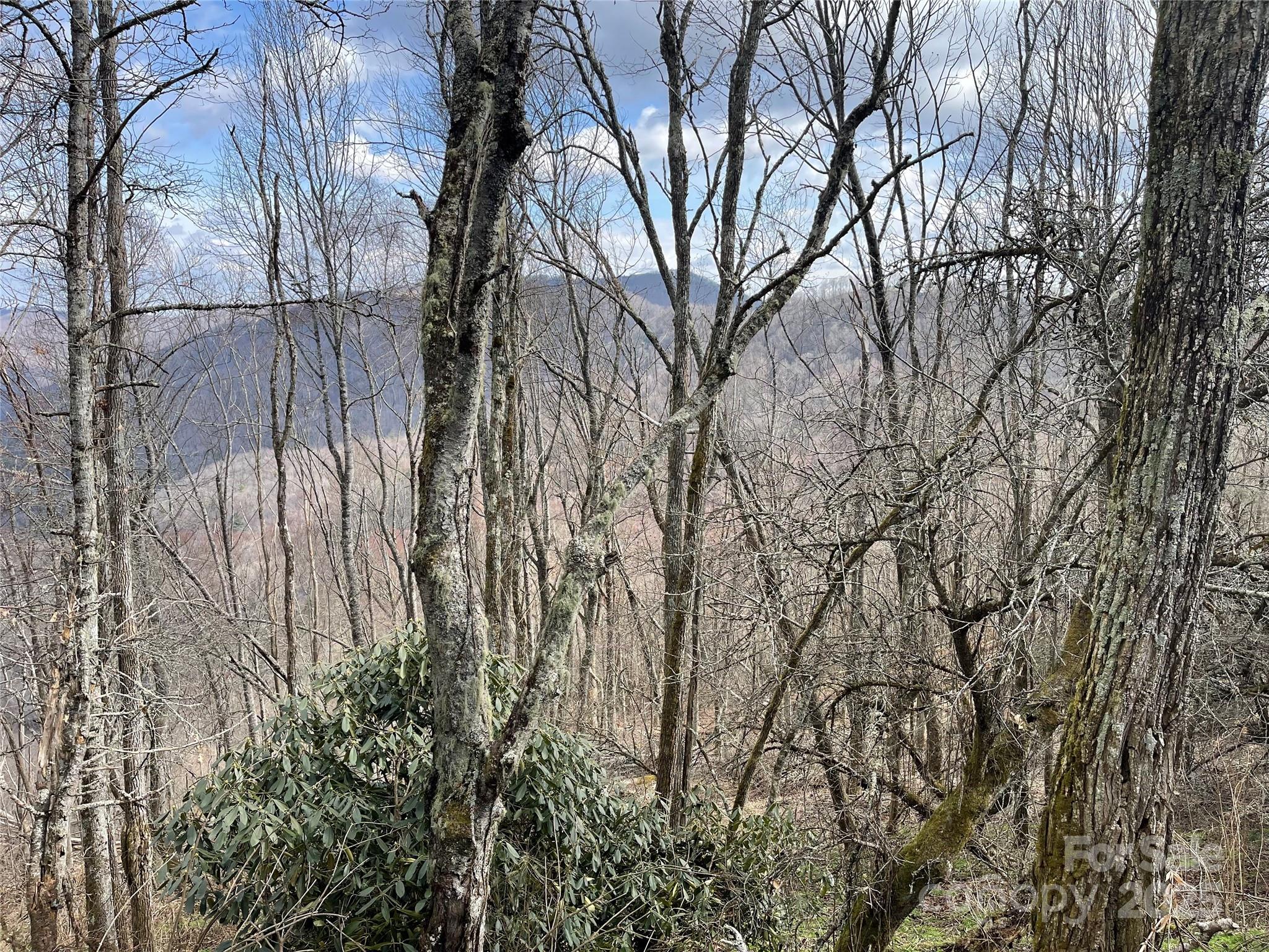 Lot #39 Ridge Top Circle Clyde, NC 28721 - Photo 23 of 35 a view of a yard with plants and trees