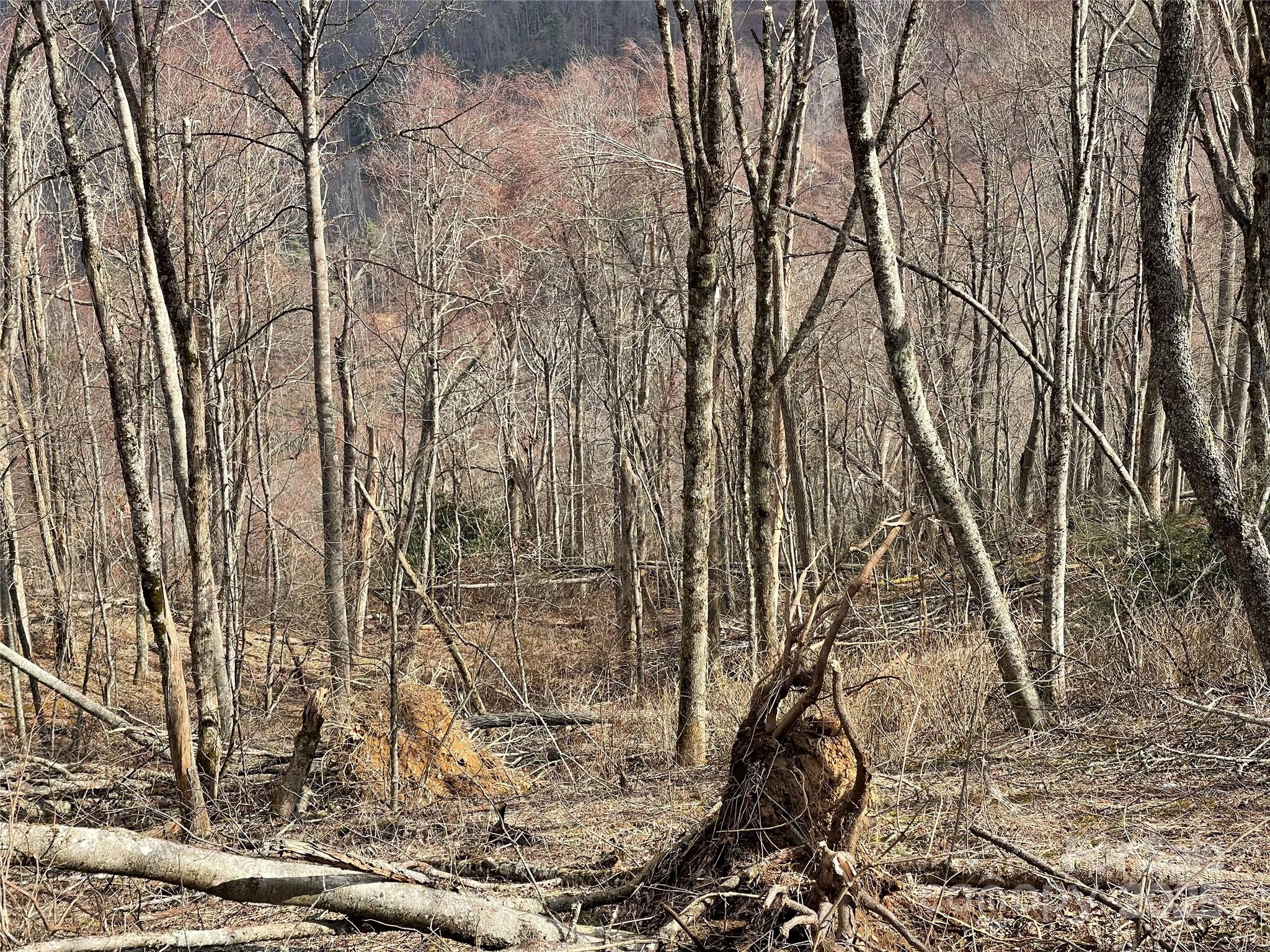 Lot #39 Ridge Top Circle Clyde, NC 28721 - Photo 24 of 35 a backyard of a house