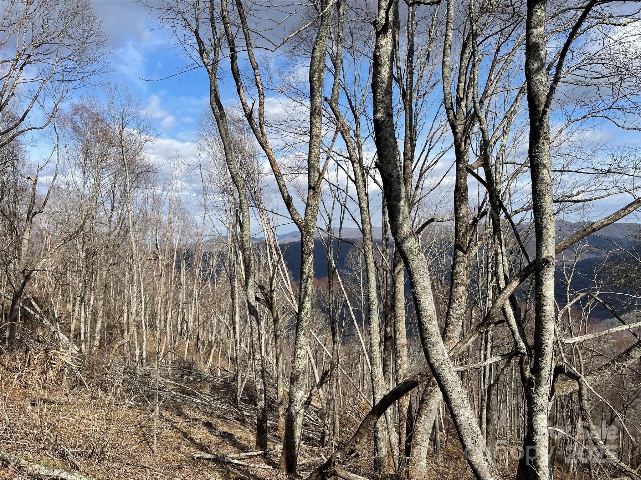 Lot #39 Ridge Top Circle Clyde, NC 28721 - Photo 25 of 35 a backyard of a house with lots of green space
