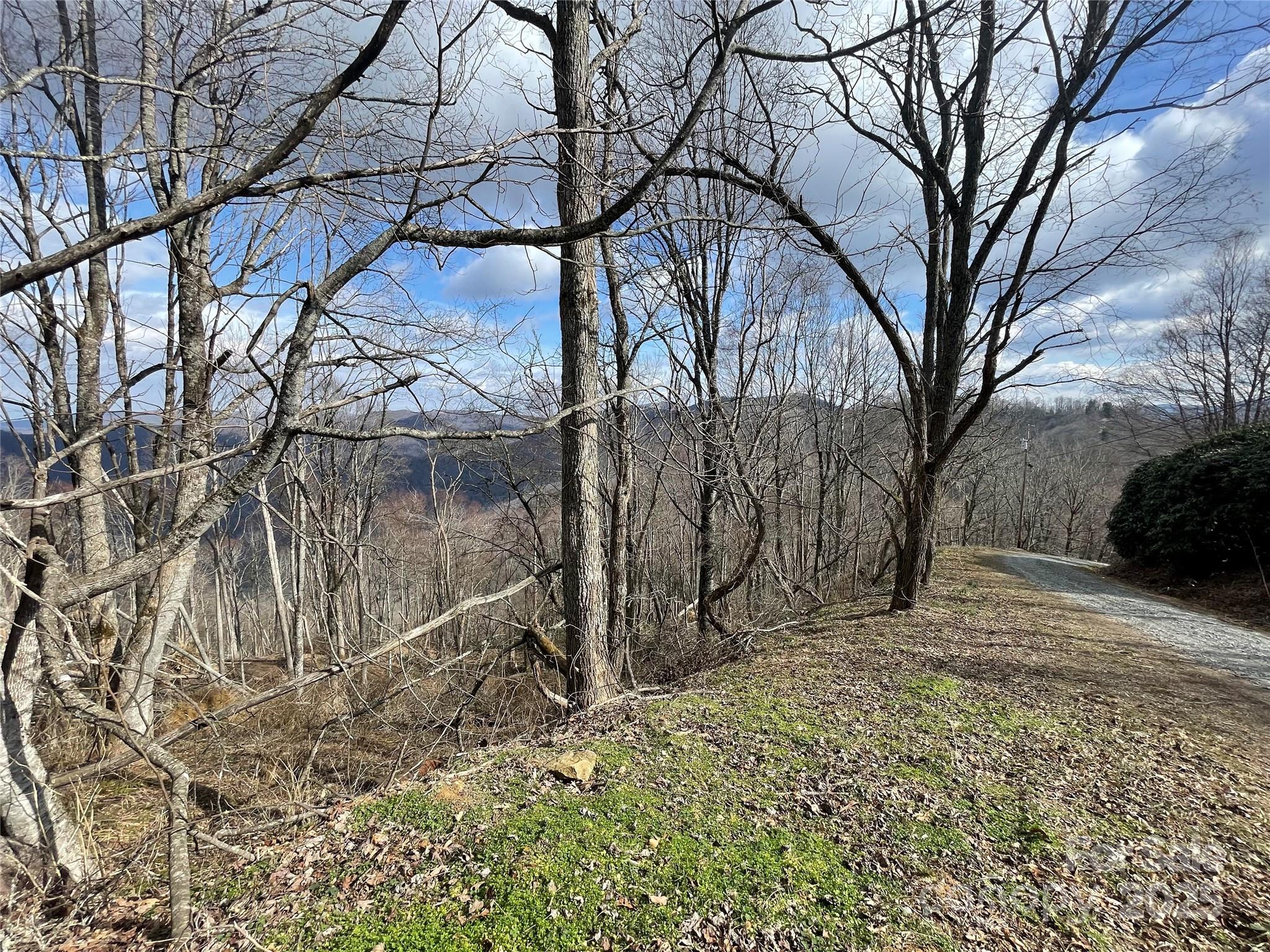 Lot #39 Ridge Top Circle Clyde, NC 28721 - Photo 26 of 35 a backyard of a house with large trees and wooden fence