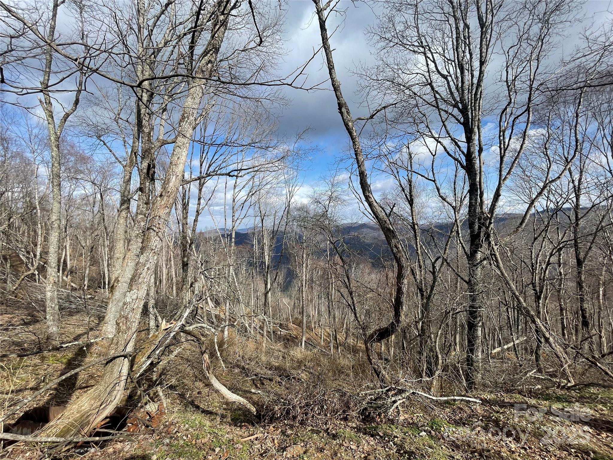 Lot #39 Ridge Top Circle Clyde, NC 28721 - Photo 27 of 35 a backyard of a house with lots of green space