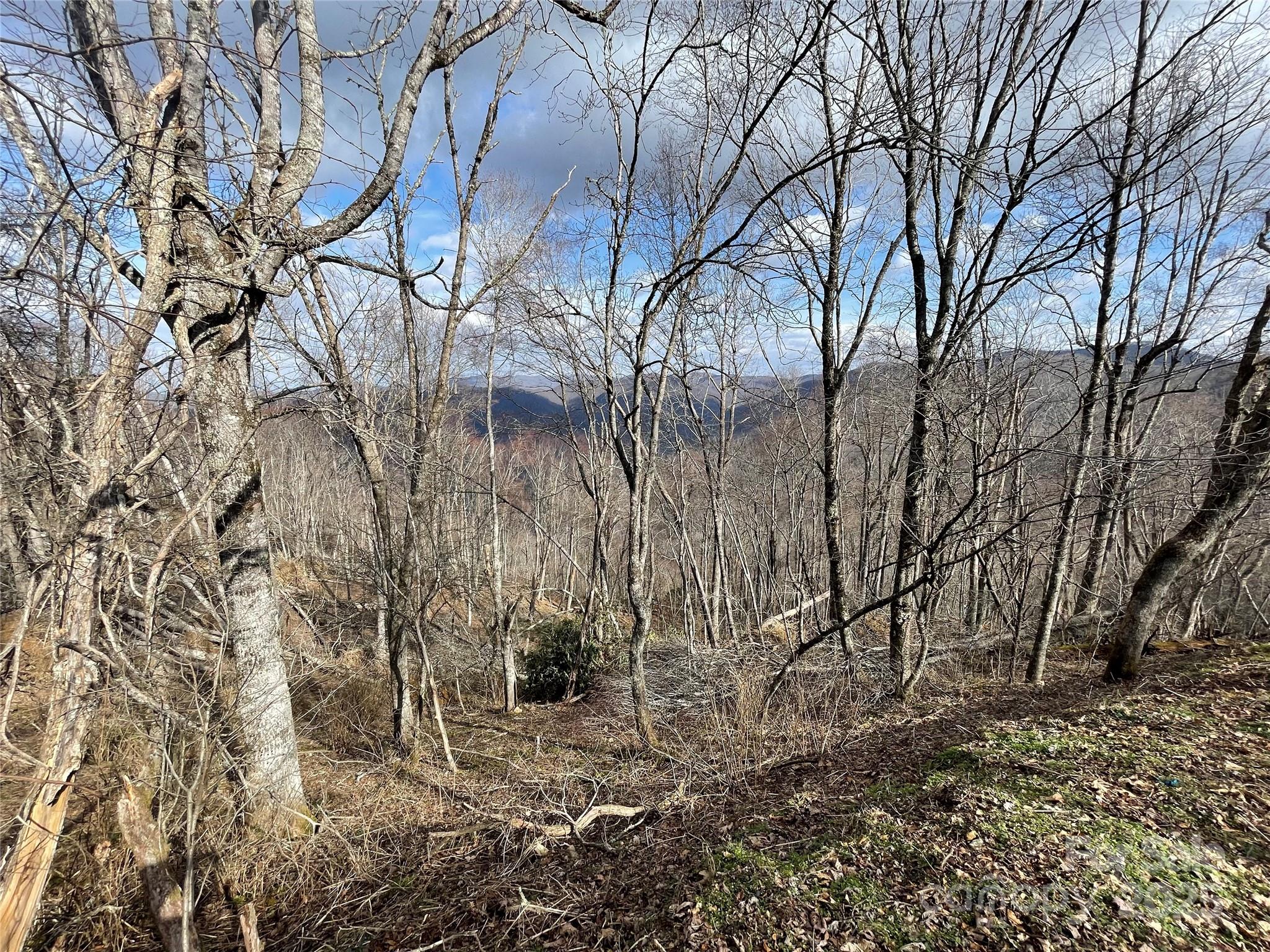 Lot #39 Ridge Top Circle Clyde, NC 28721 - Photo 28 of 35 a backyard of a house with lots of green space